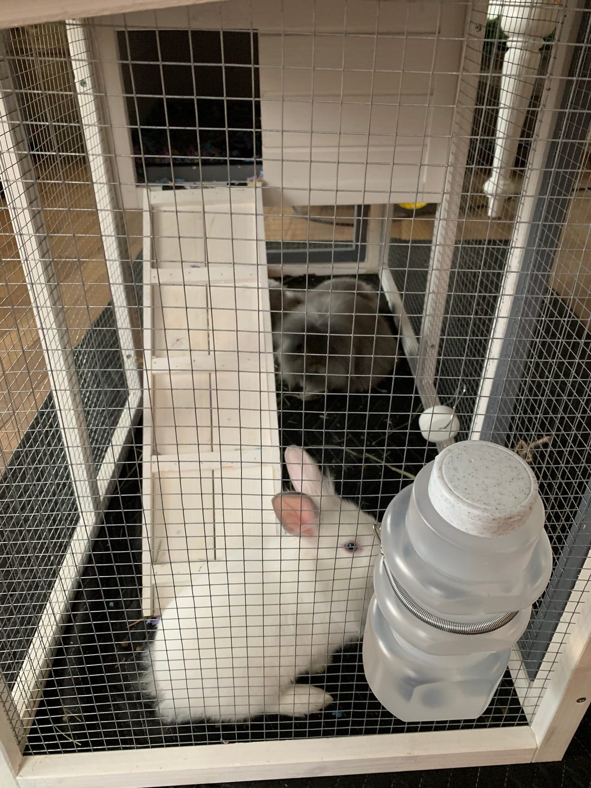 BIRASIL Wood Rabbit Hutch, Guinea Pig Cage with Pull Out Tray, 2 Levels Bunny House for Small Animals Outdoor Indoor (Gray, 48 Inch) customer photo 2