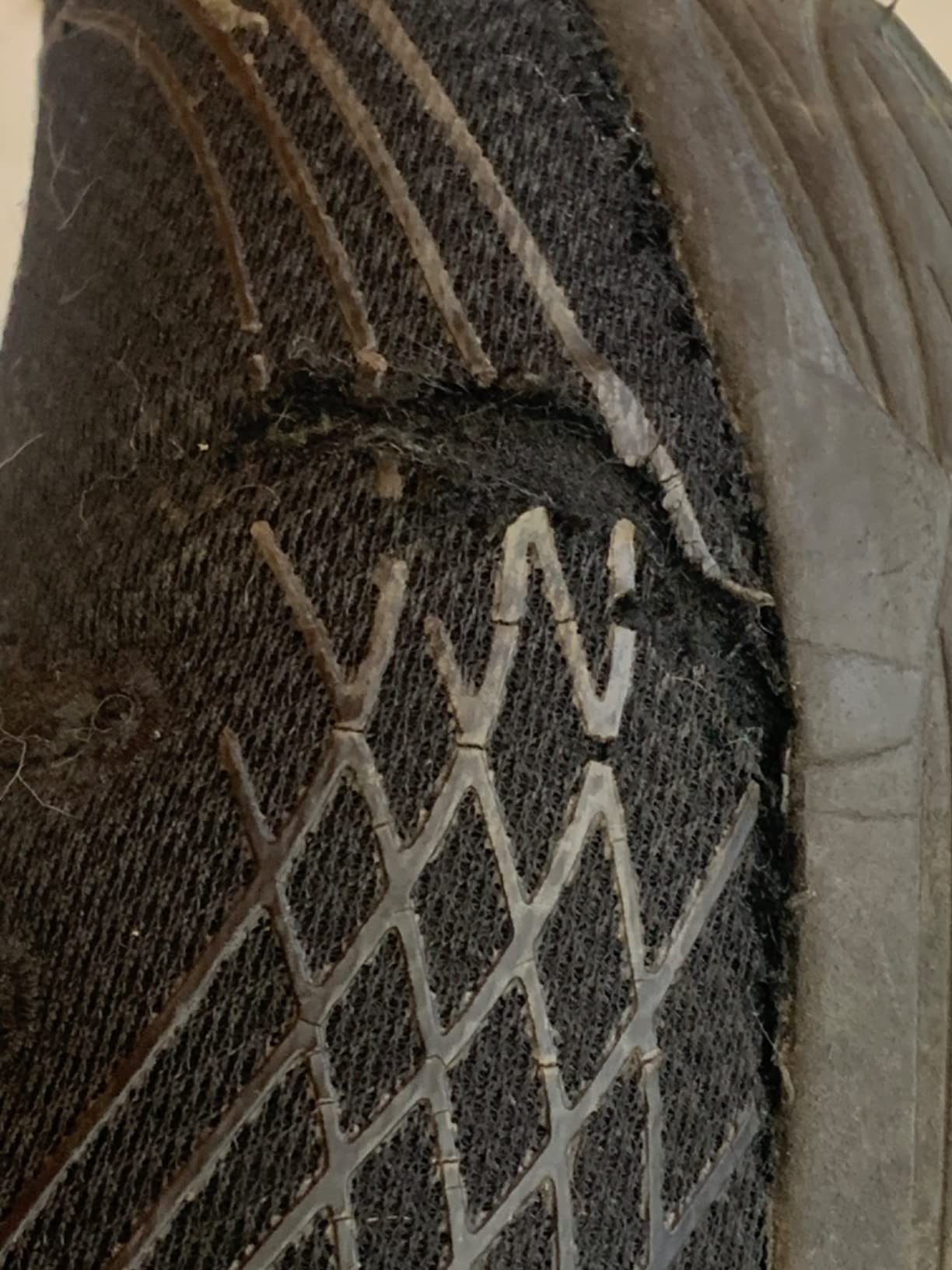 Women's Max Cushioning Elite SR Sneakers customer photo 1