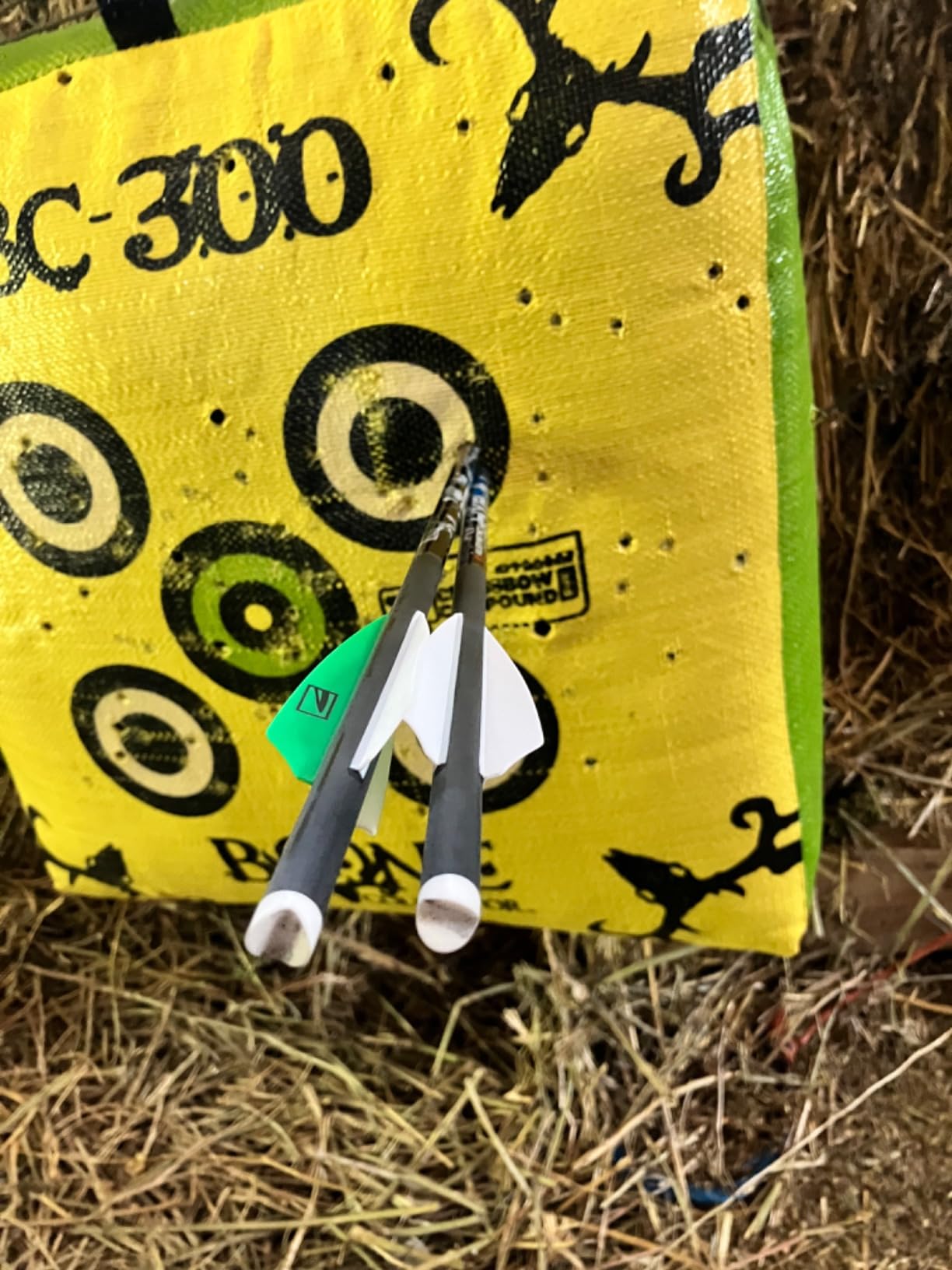 Killer Instinct Boss 405 Crossbow Pro Package with 4x32 IR-W Scope, Rope Cocker, String Suppressors, 3-Bolt Quiver, 3 Hypr Lite Bolts and Field Tips, Stick of Rail Lube customer photo 1