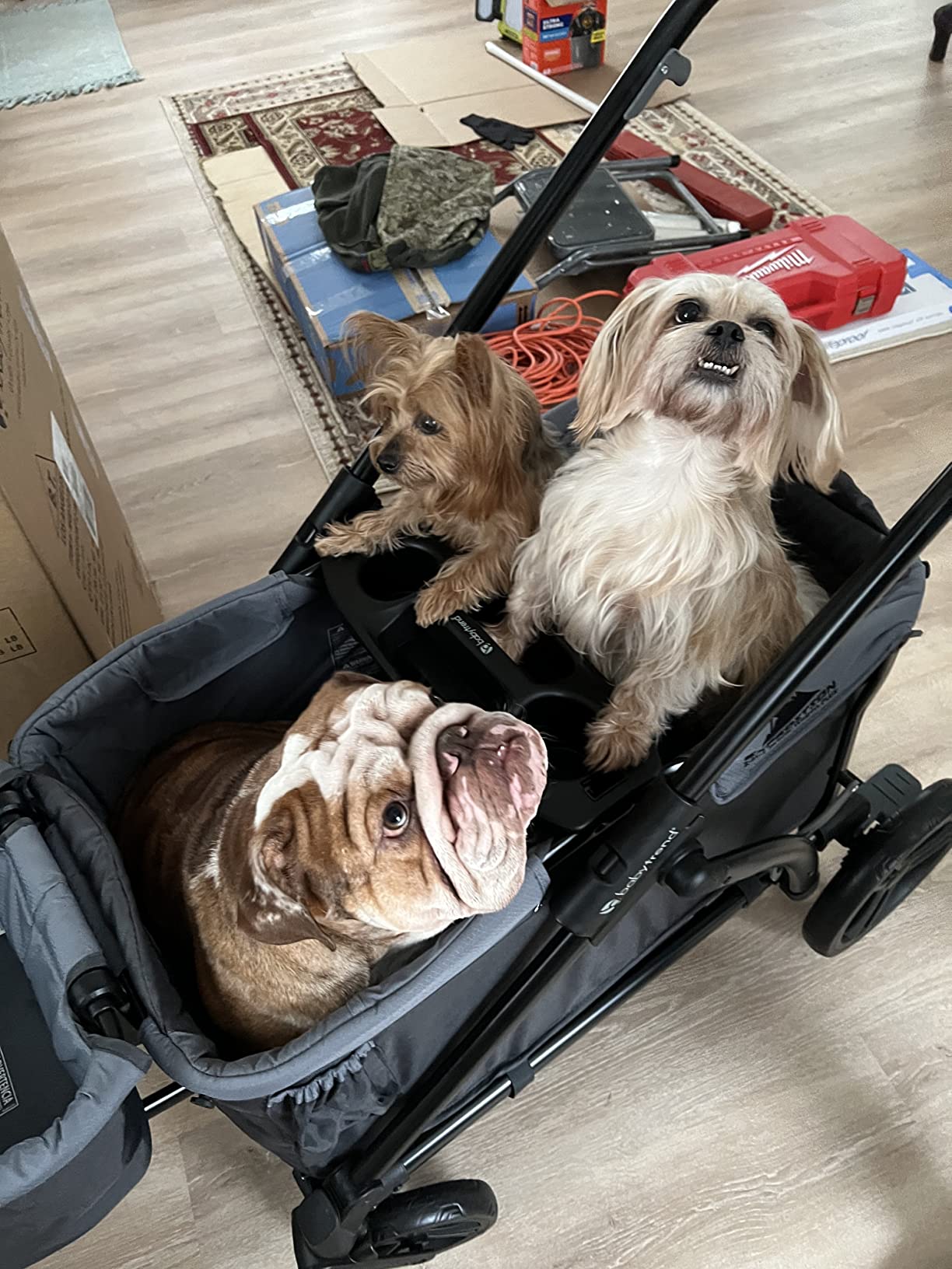 Baby Trend Expedition 2-in-1 Stroller Wagon Plus, Ultra Grey customer photo 2