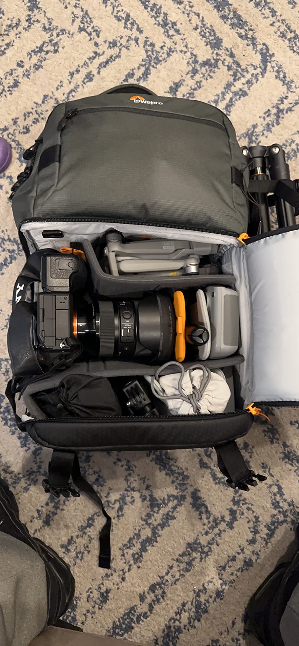 Lowepro Fast Pack BP250AW III Backpack, Camera Backpack for DSLR/Mirrorless, Fits 15