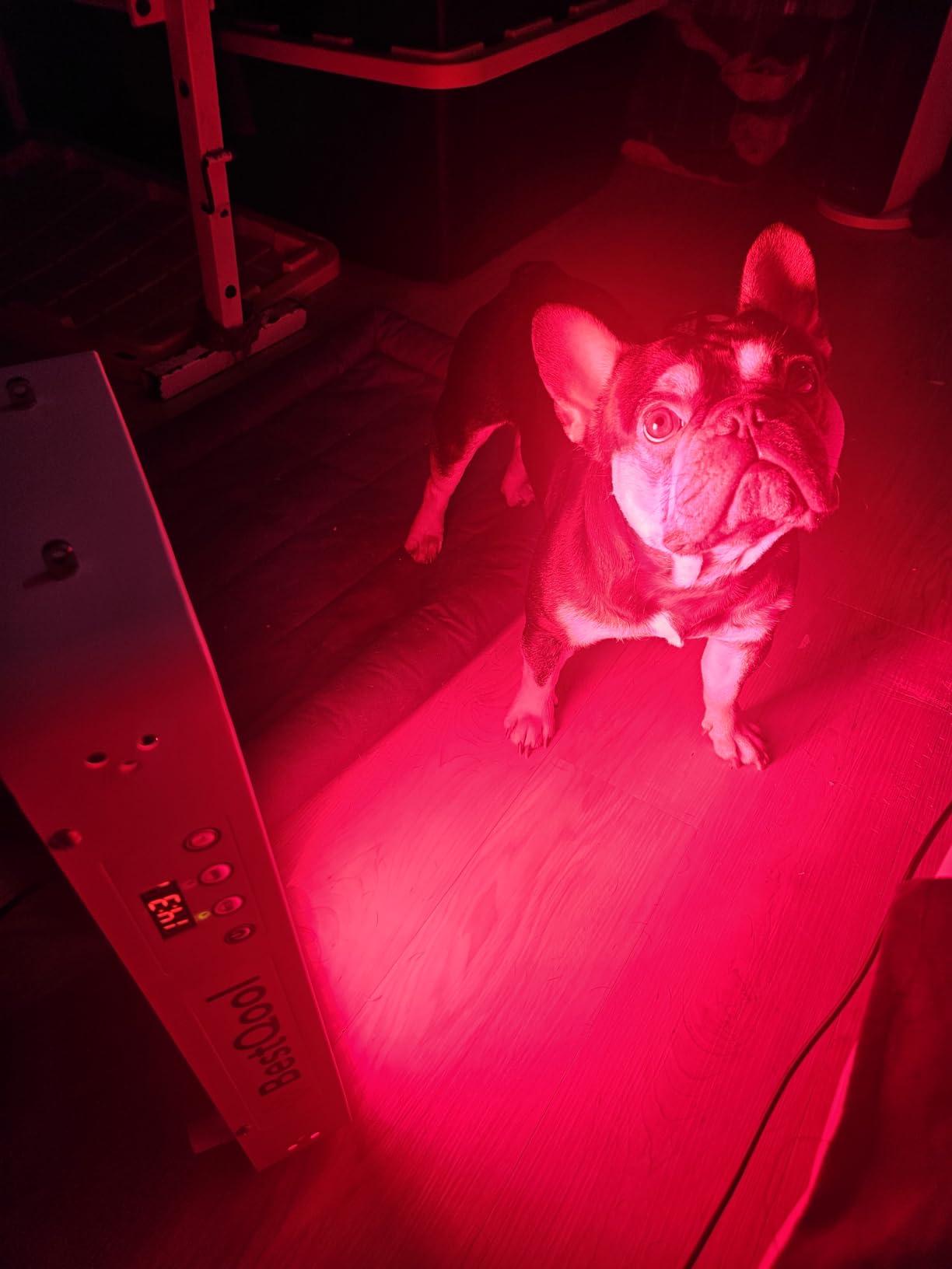 BestQool Red Light Therapy Panel, 4 Wavelengths Infrared for Body, 160W | 630-940nm Red and Infrared Light Therapy, 100 LEDs Elite Grade Dual Chip, High Power LED Light Lamp, Modular Design customer photo 2