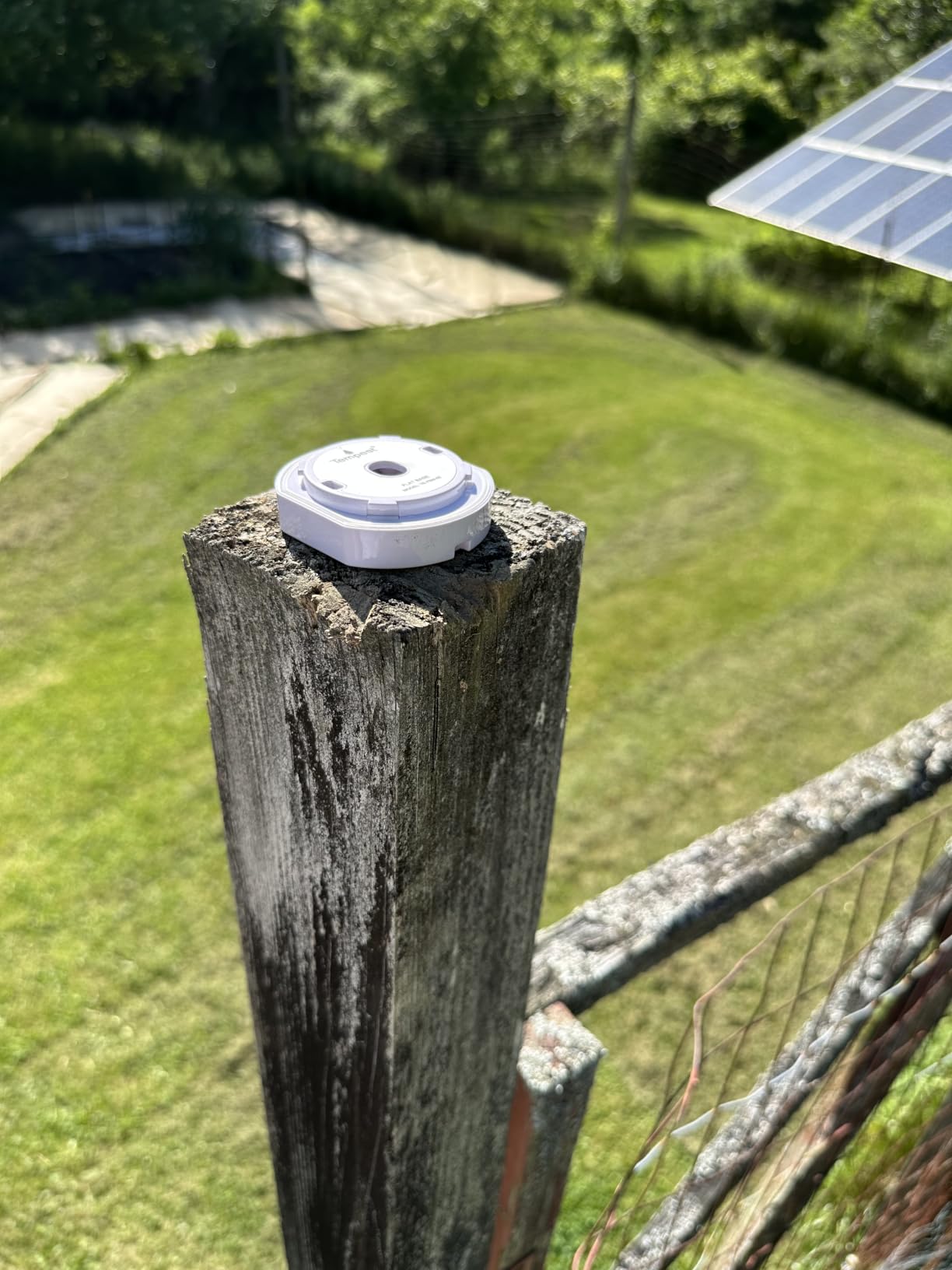 Tempest Weather Station with Built-in Wind Meter, Rain Gauge, and Accurate Weather Forecasts, Wireless, App and Alexa Enabled customer photo 1