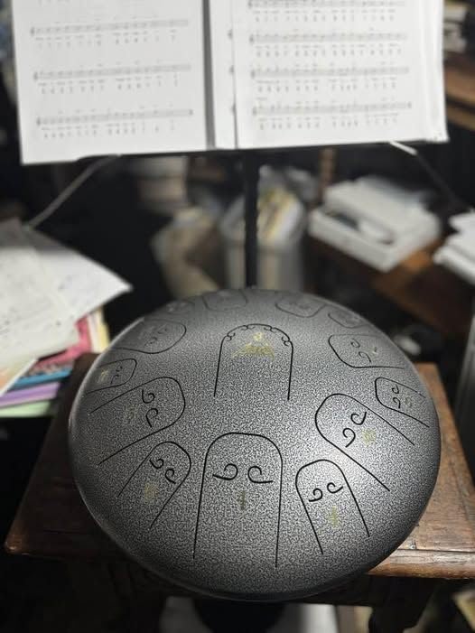 AKLOT Steel Tongue Drum, 10 inch 11 Notes Tank Drum C Key Percussion Steel Drum Kit w/Drum Mallets Note Stickers Finger Picks Mallet Bracket and Gig Bag customer photo 1