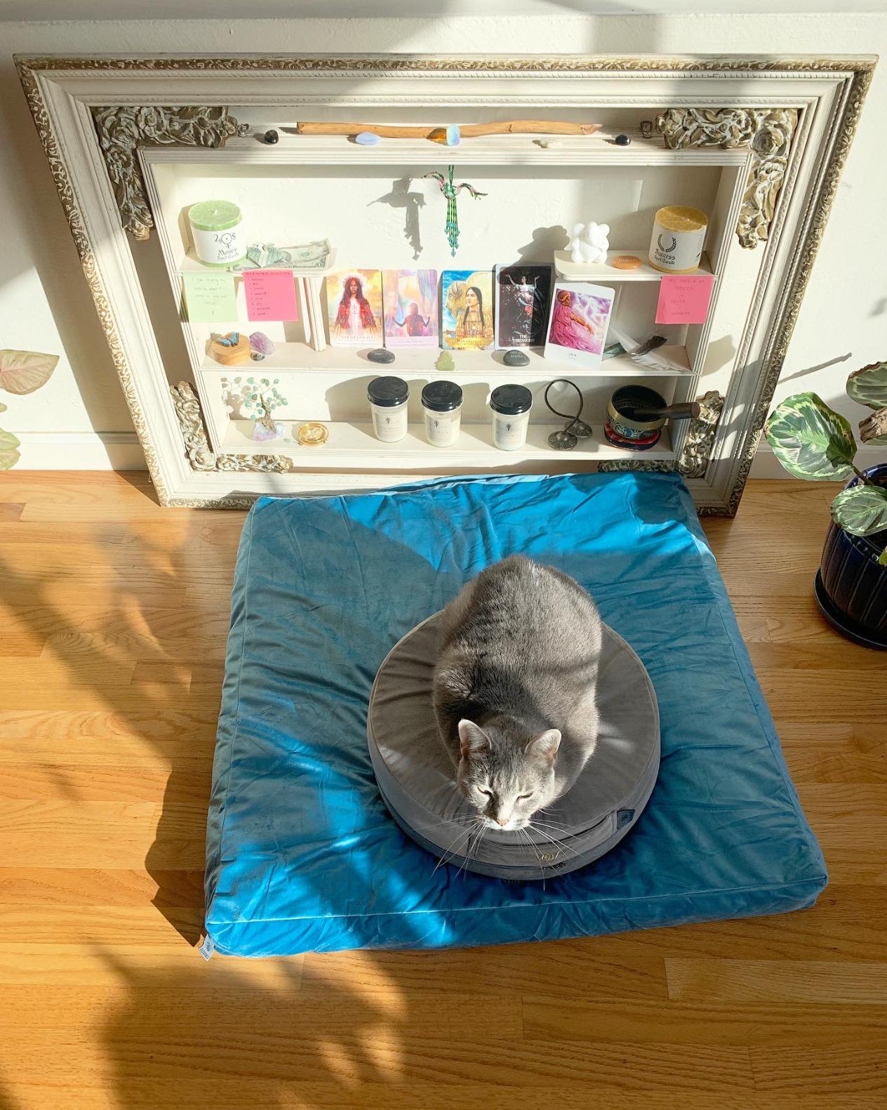 Florensi Zabuton Meditation Mat 32x32 Purple Velvet Floor Cushion Seat Yoga customer photo 2