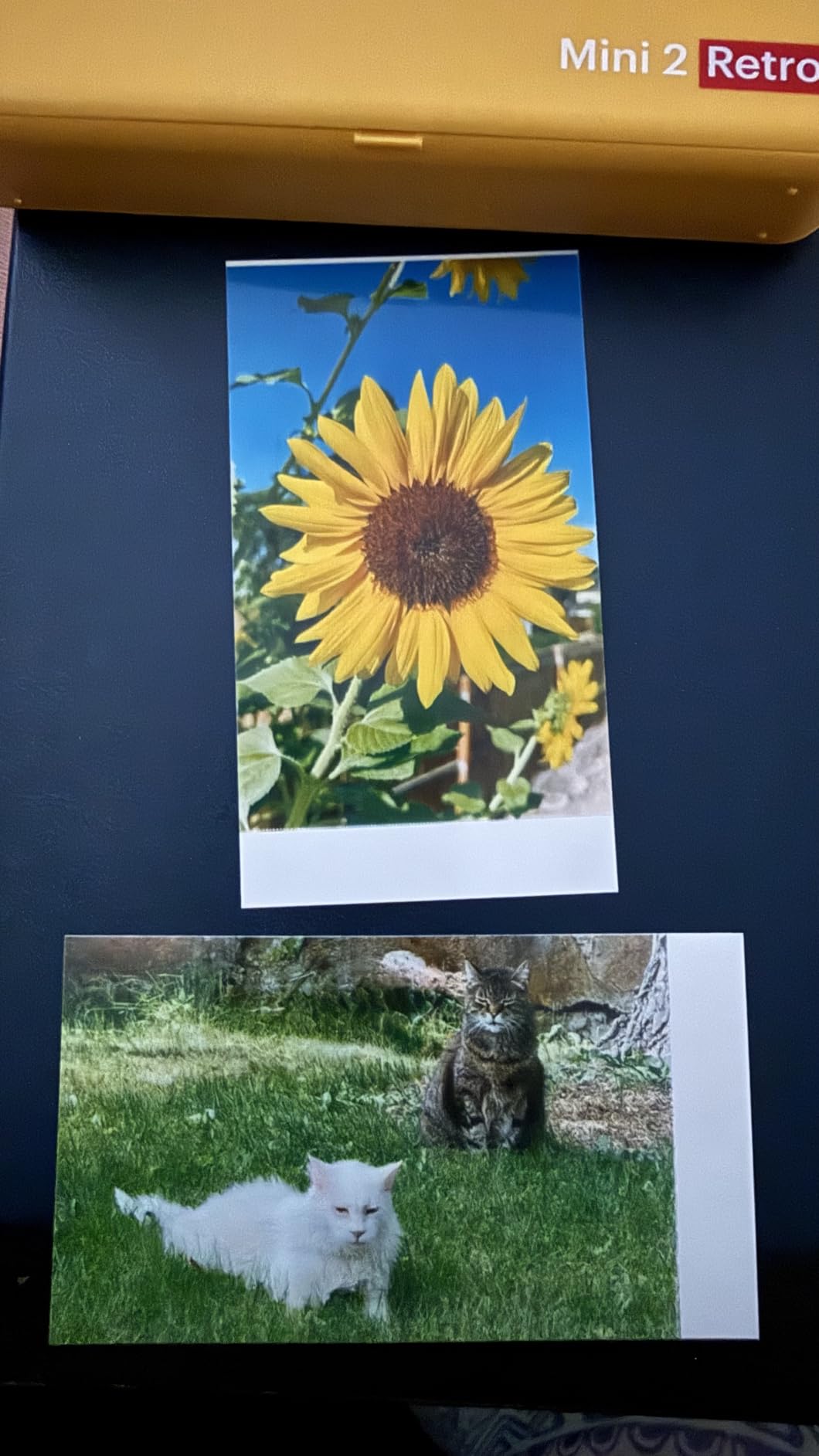 KODAK Mini 2 Retro 2x3 Portable Photo Printer, 4PASS, 38 Sheets, Yellow | Bluetooth, iPhone & Android Smartphone Compatible, Smudge-Proof, Water-Resistant, Fade-Resistant customer photo 1