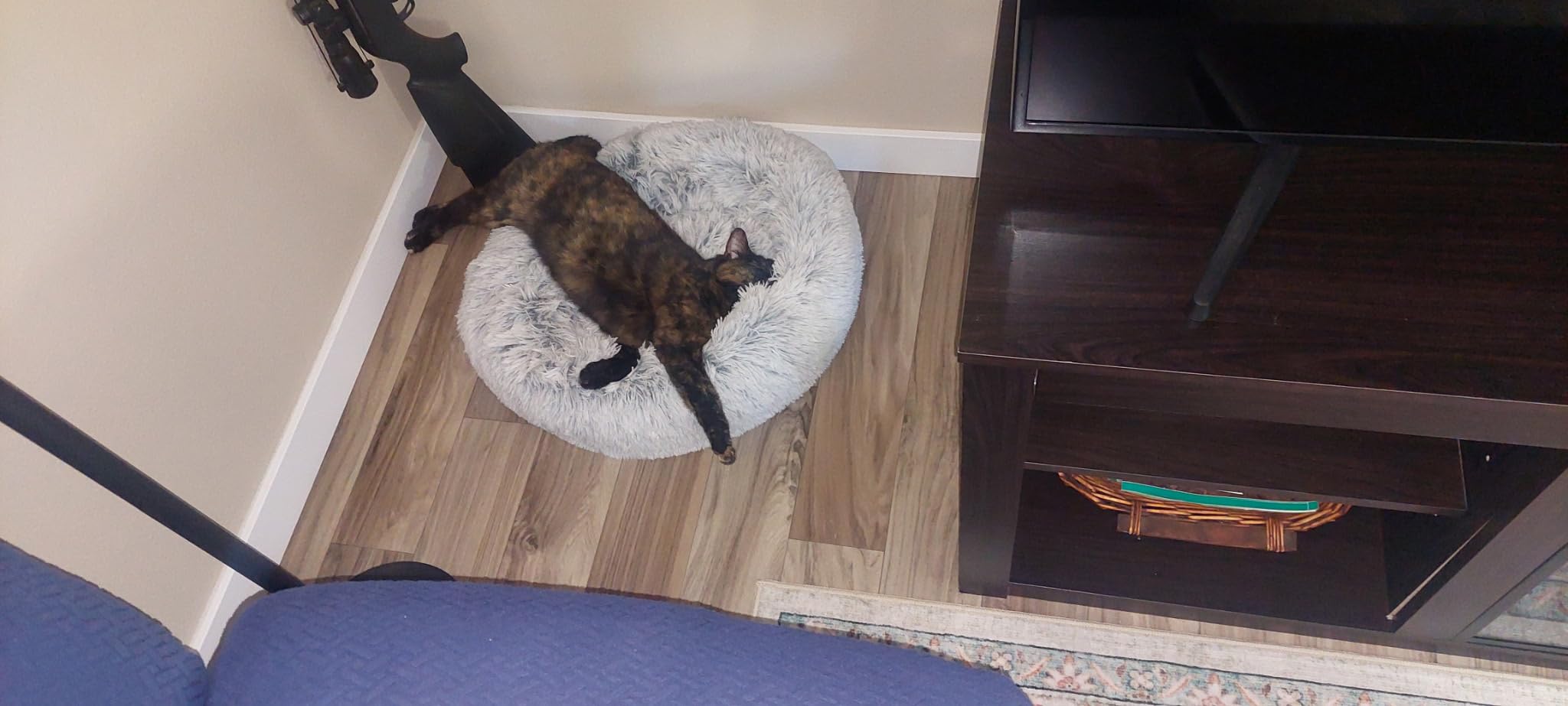 Calming Dog Bed & Cat Bed Washable Puppy Bed,24