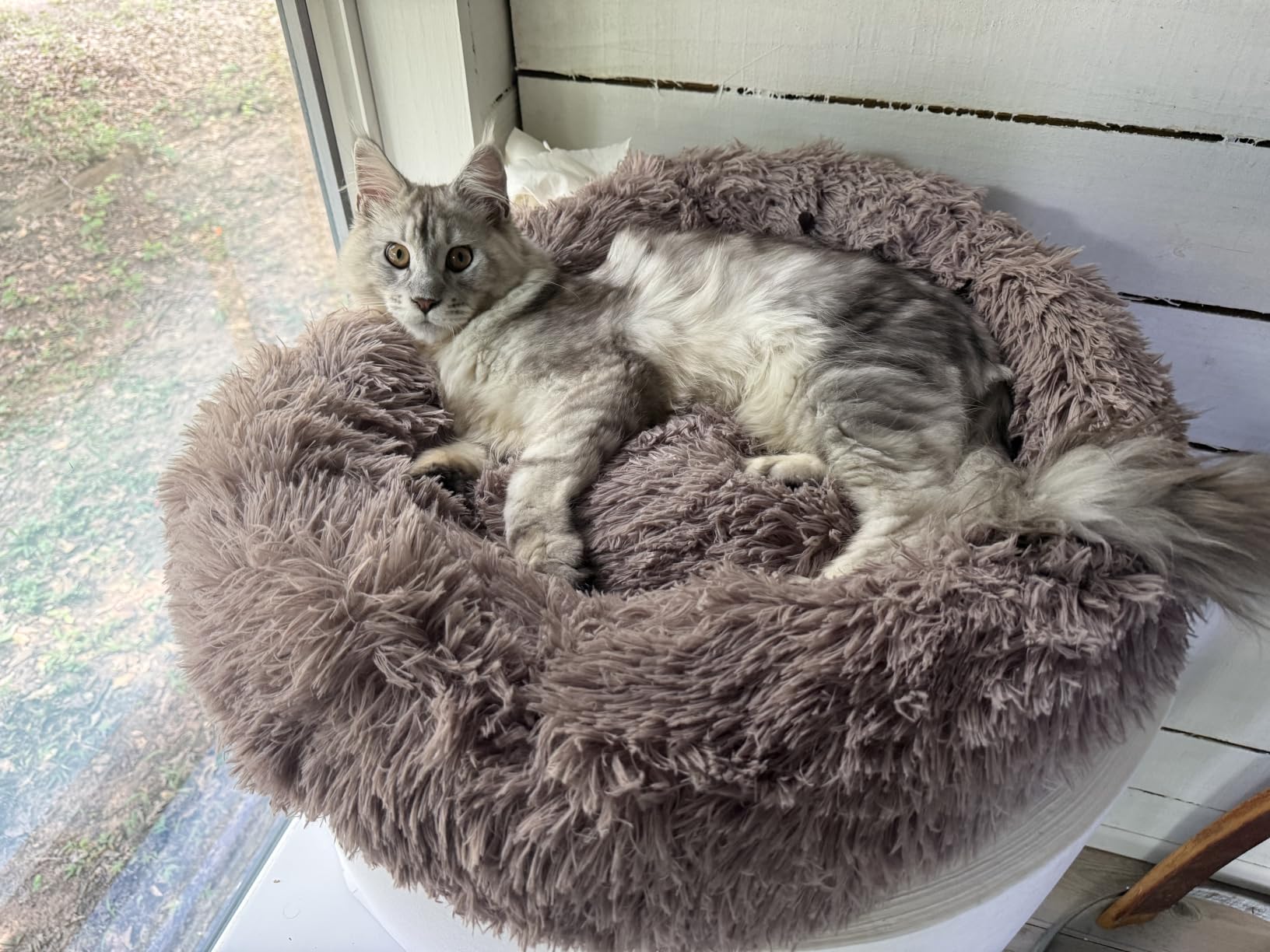 Calming Dog Bed & Cat Bed Washable Puppy Bed,24