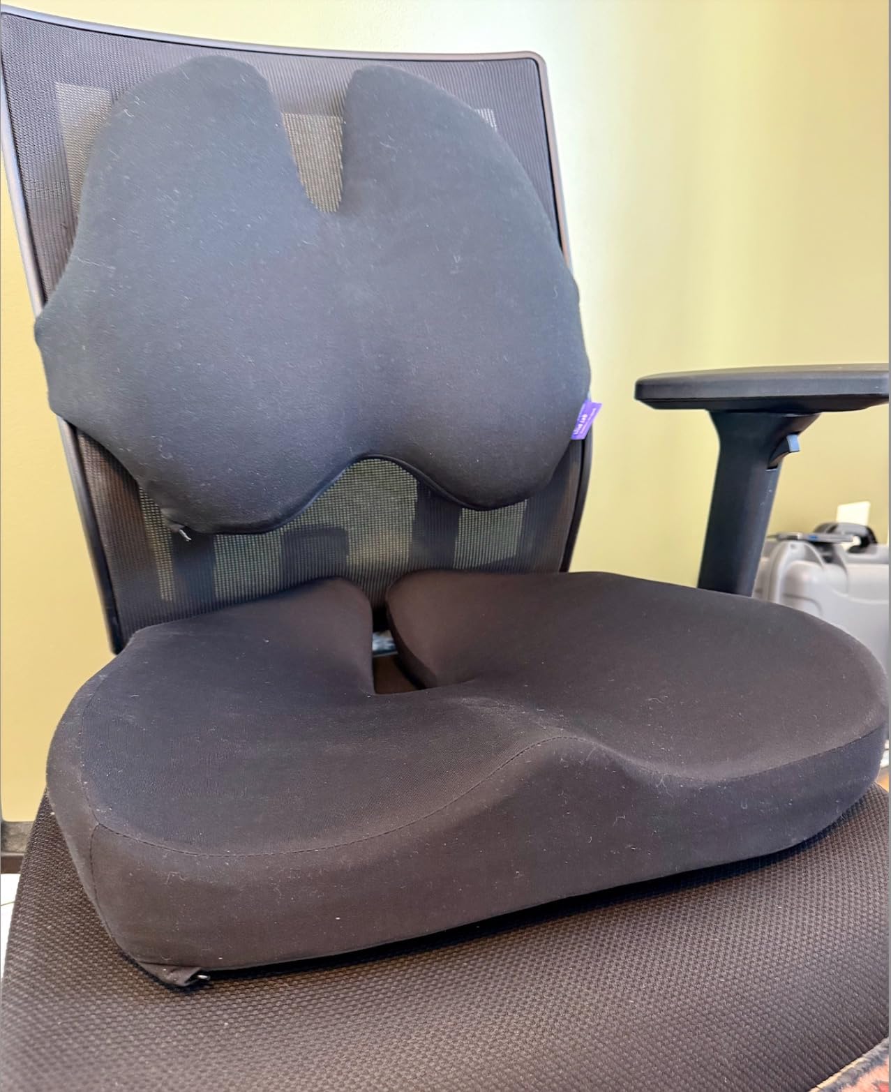 C CUSHION LAB Extra Dense Lumbar Pillow - Patented Ergonomic Multi-Region Firm Back Support for Lower Back Pain Relief - Lumbar Support Cushion with Strap for Office Chair, Car, Sofa - Wellness Green customer photo 1