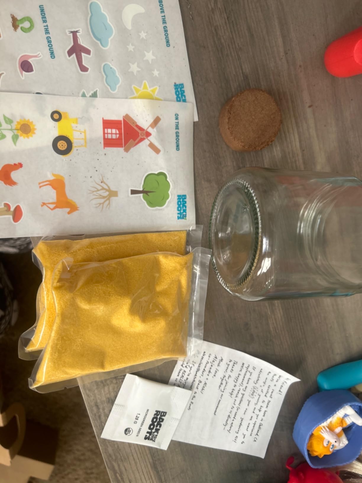 Back to the Roots Terrarium Grow Kit - Easy-to-Use DIY Set for All Ages Small customer photo 2