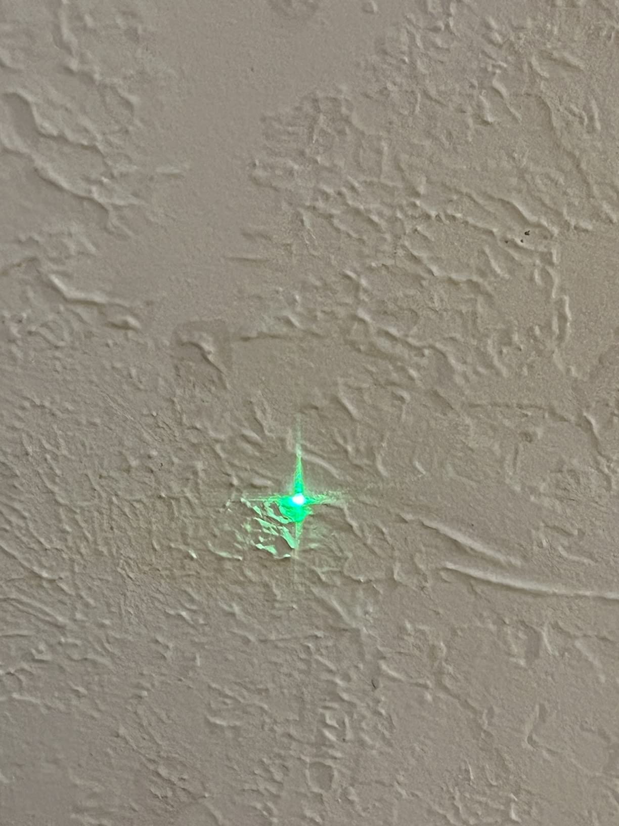 BOSCH GPL100-30G Green-Beam Three-Point Self-Leveling Alignment Laser | Durable construction, professional grade, reliable performance, contractors, stable mounting, surveying, construction customer photo 1