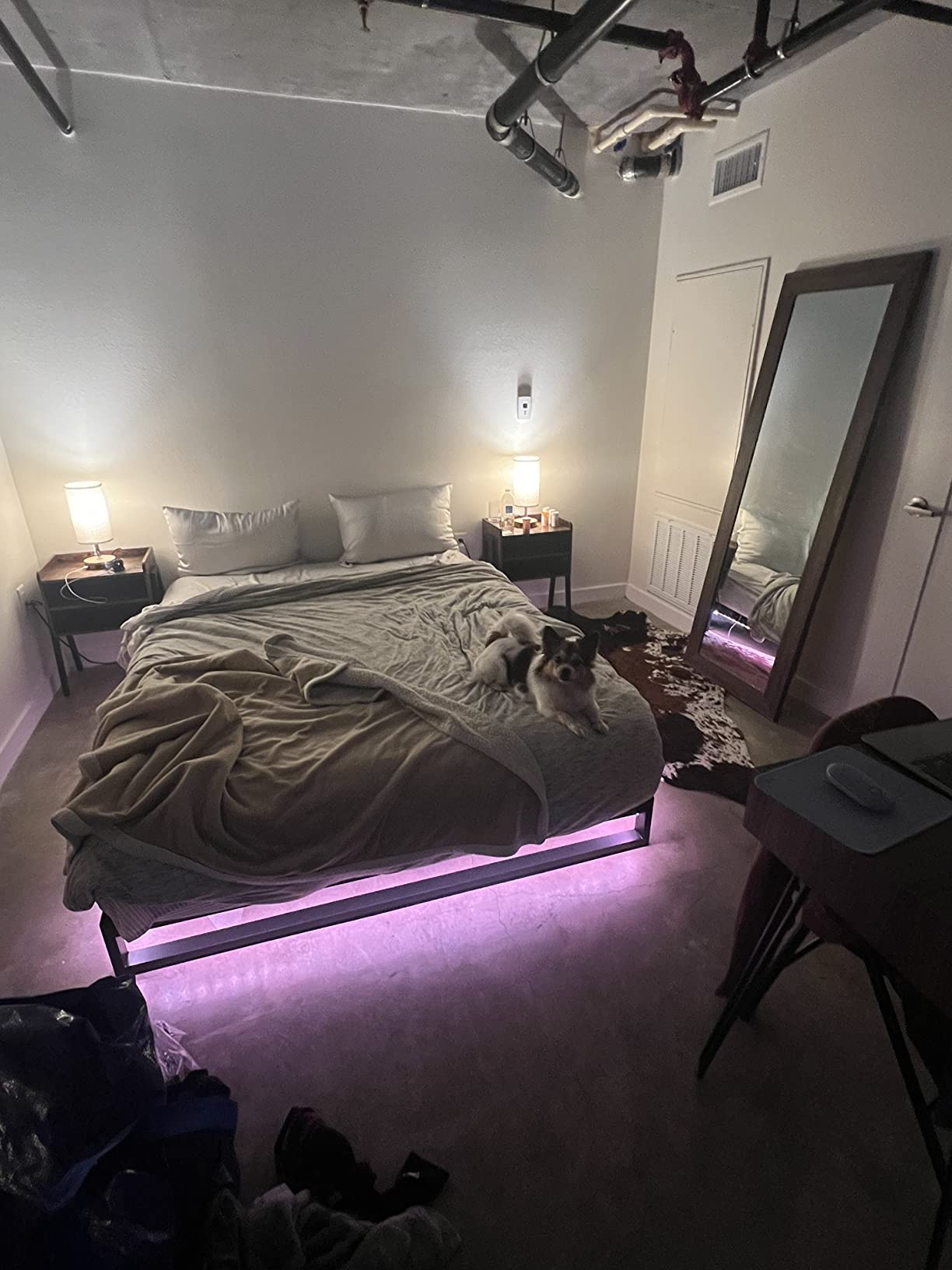 Govee 65.6ft RGBIC LED Strip Lights, Work with Alexa and Google Assistant | APP WIFI Control, DIY Segmented Color, 64 Scene Modes,16 Million Colors, Music Sync, LED Lights for Bedroom (2 X 32.8ft) customer photo 1