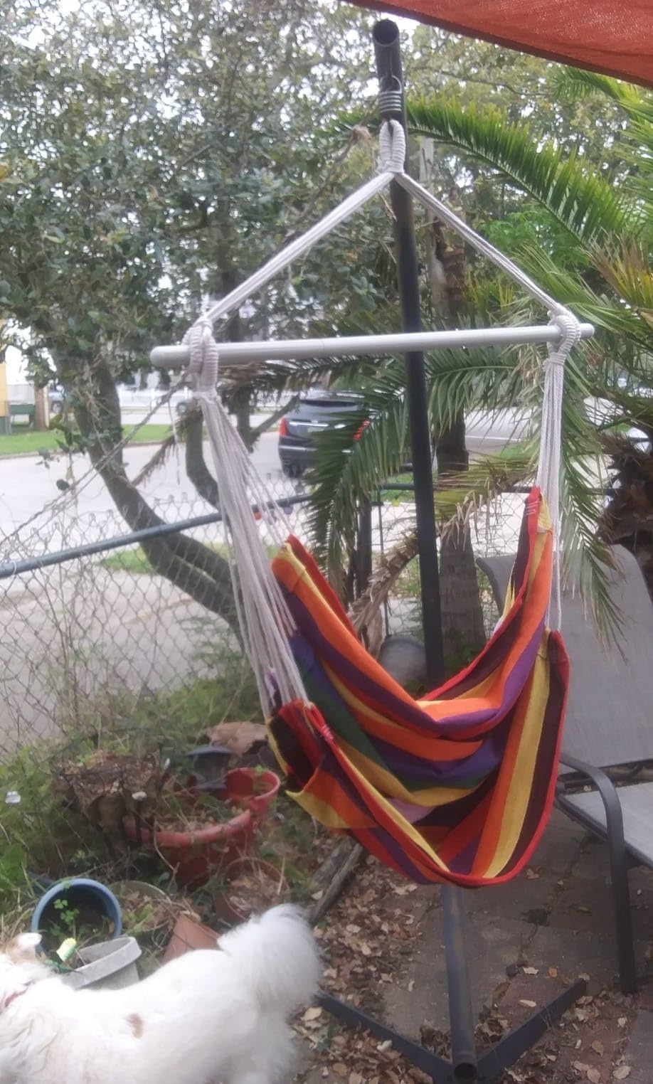 MIZTLI Hammock Chair Swing Indoor Hammock for Bedroom - Max 500 Lbs Steel Spreader Bar with Anti-Slip Rings-Indoor & Outdoor customer photo 2