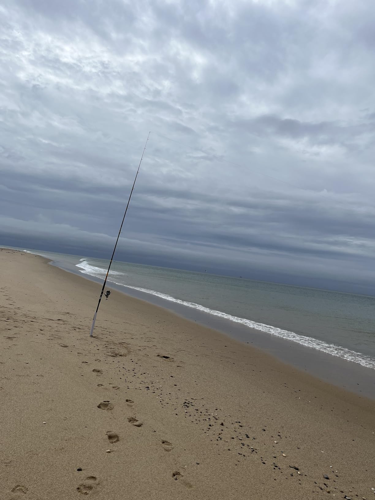 Ugly Stik Bigwater Spinning Fishing Rod customer photo 2