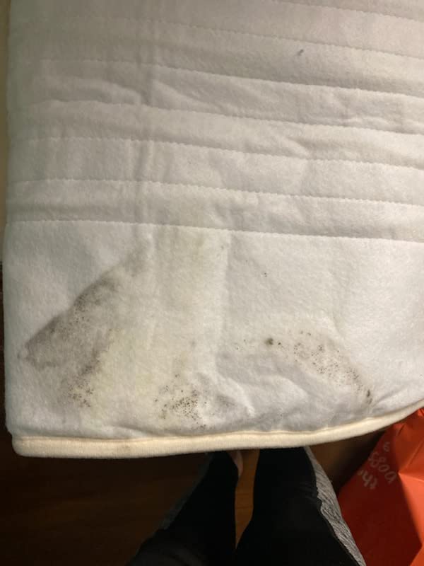 Master Massage ETL Certified Deluxe Fleece Massage Table Warmer Heater Pad Warming Therma Pad, Cream customer photo 2