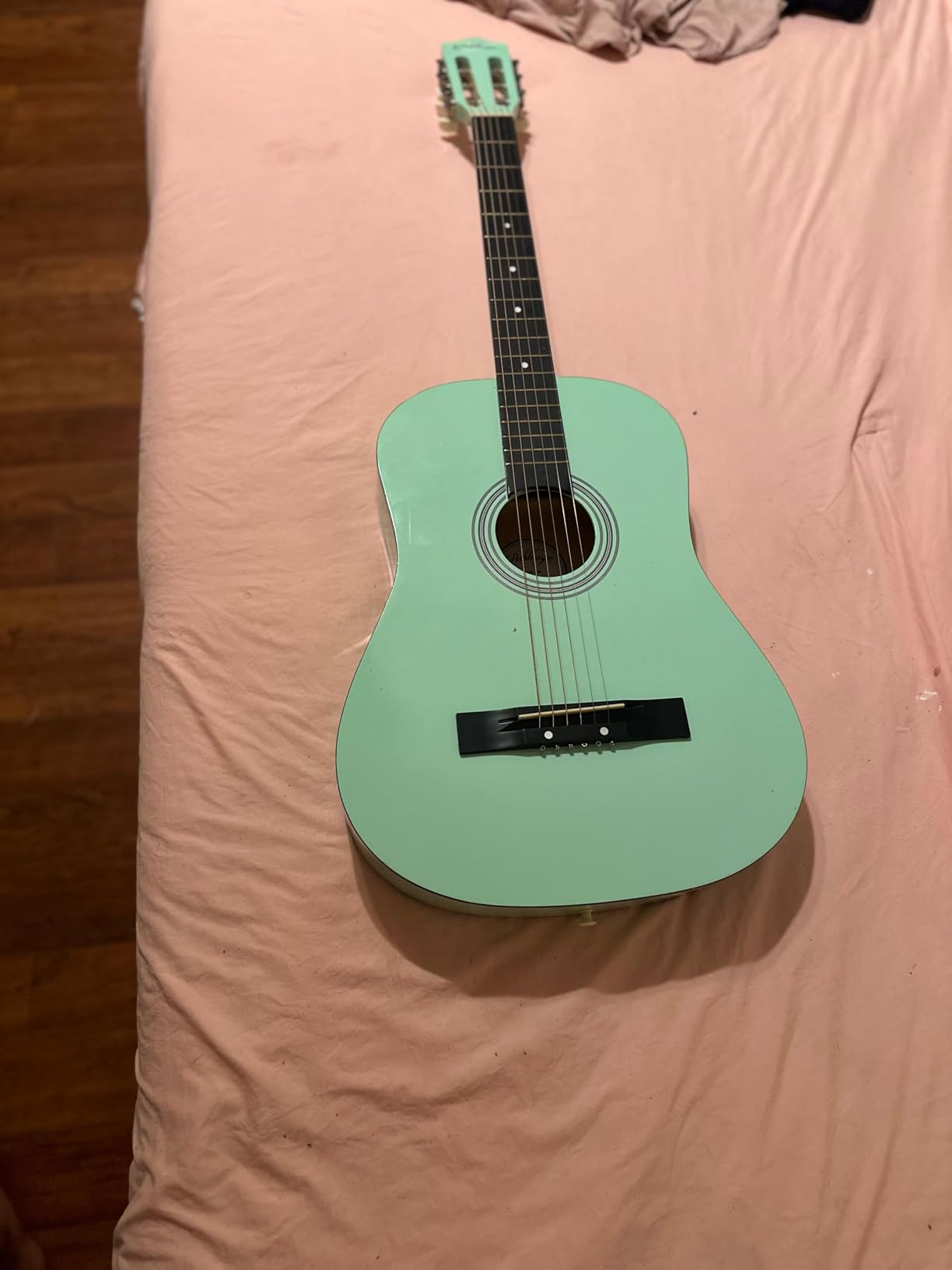 Ashthorpe 30-inch Kids Acoustic Guitar (Blue), Beginner Starter Kit with Gig Bag, Extra Strings, Strap, Picks, and Lessons customer photo 2