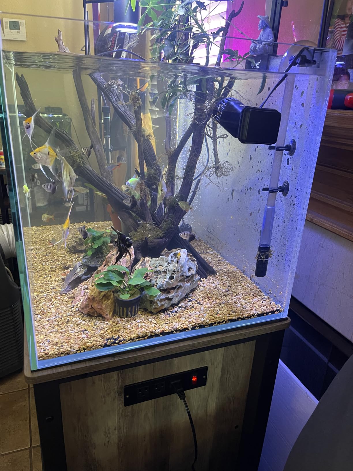 LANDEN Aquarium Cube 2 Gallon Ultra Clear Glass Rimless Fish Tank 20C | 7.9x7.9x7.9in, 5mm Low Iron Glass, leveling mat Included, Small Starter Aquascape Tank for Aquatic plant Betta customer photo 1