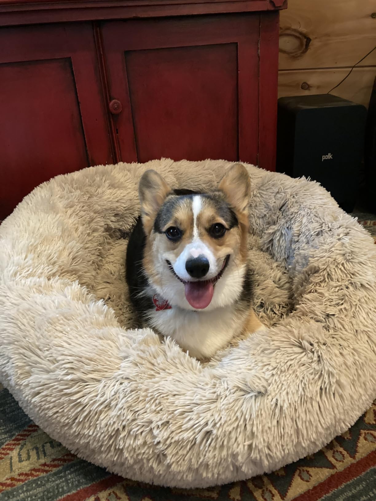 Best Friends by Sheri Original Calming Donut Dog Bed, Mink Gray, 30