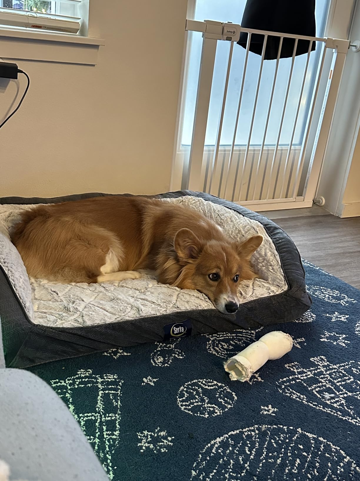 Serta Orthopedic Quilted Couch Dog Bed for Pets - Desert Sand (Large) customer photo 1