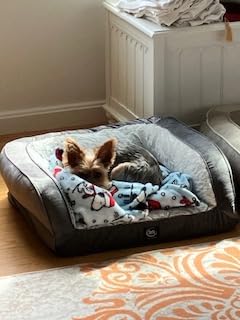 Serta Orthopedic Quilted Couch Dog Bed for Pets - Desert Sand (Large) customer photo 2