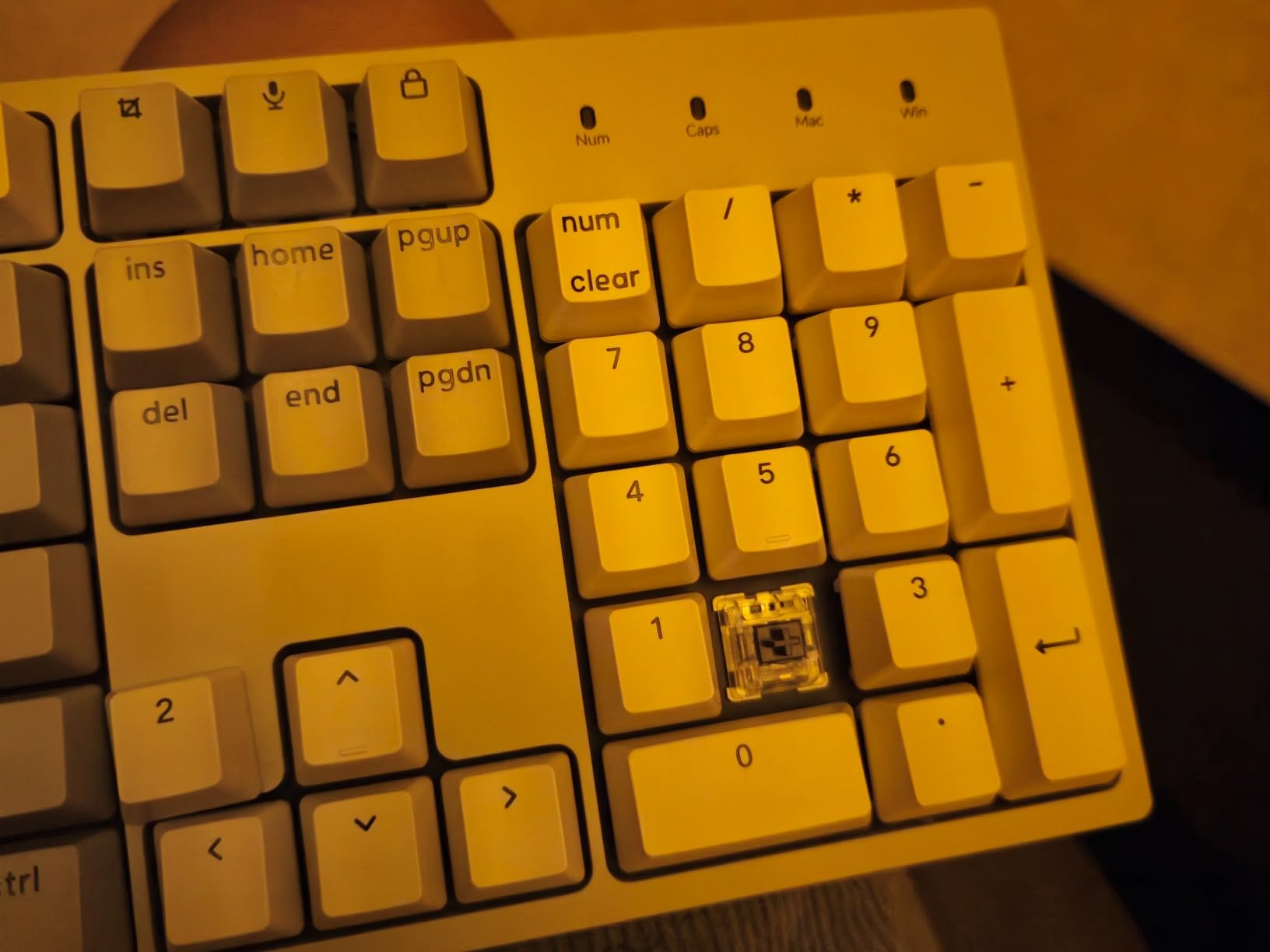 Keychron C2 Full Size Wired Mechanical Keyboard, Brown Switch, Retro | ABS keycaps, USB-C connection, Ergonomic support, Non-backlit design, Compatible with Mac Windows customer photo 1