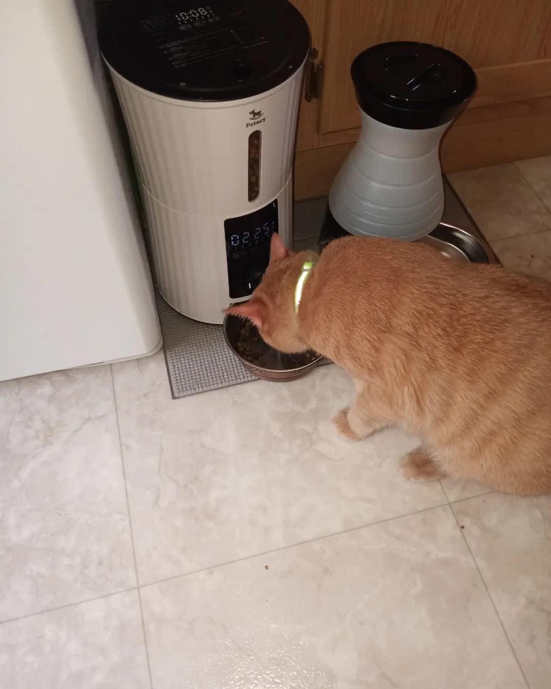 VOLUAS Automatic Cat Feeder, 4L Timed Dry Food Dispenser for Cats & Dogs | Programmable Portion Control, Up to 4 Meals Daily, Dual Power Supply, Power-Off Memory, 10-Second Voice Recorder customer photo 2