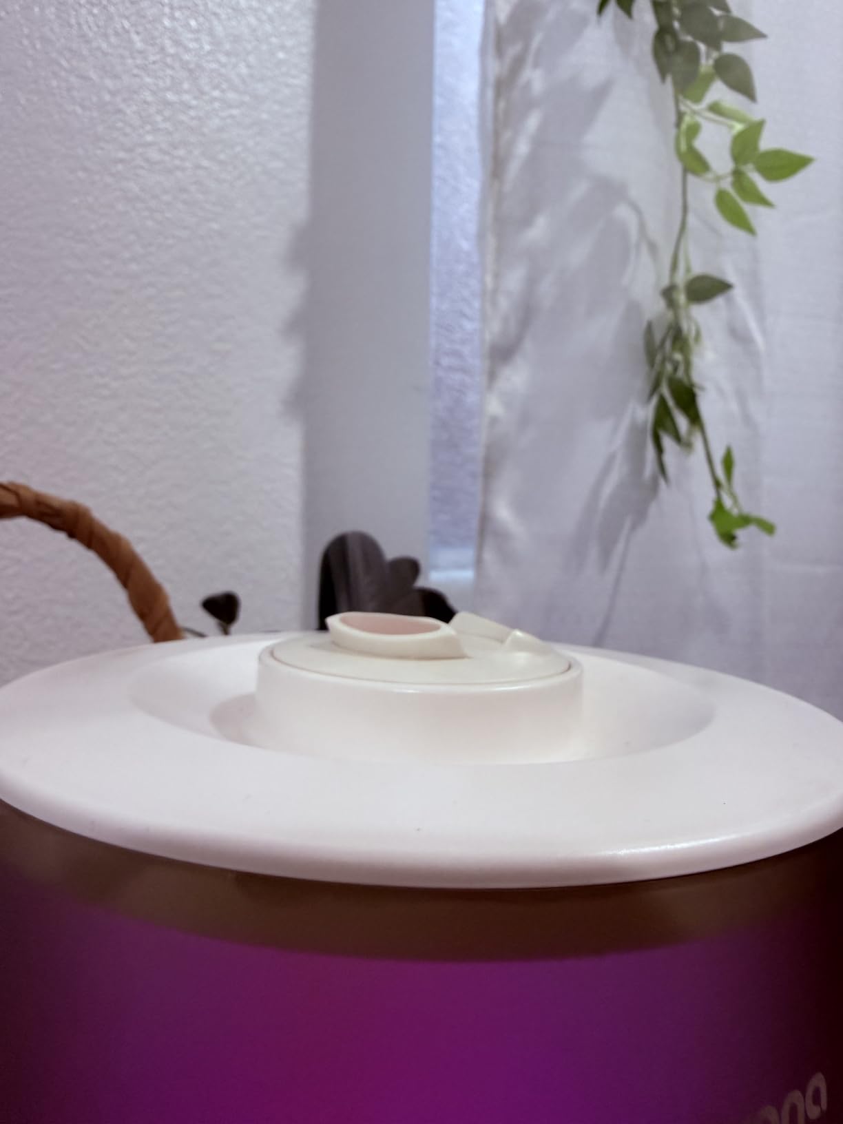 Homvana 3.6L Top-Fill Cool Mist Humidifiers for Bedroom Large Room and Plants, 23dB Ultra-Quiet, Easy-to-Clean 2-in-1 Baby Humidifier and Oil Diffuser for Congestion Relief, Lasts Up to 4 Nights (Grey) customer photo 2
