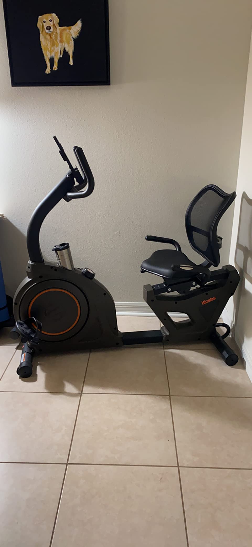Niceday Recumbent Exercise Bike for Home Stationary Bike with APP Training | Recumbent Bike for Seniors Adults, Magnetic Recumbent Stationary Bike with Exclusive App, Heart Rate Handle, Adjustable Seat customer photo 2