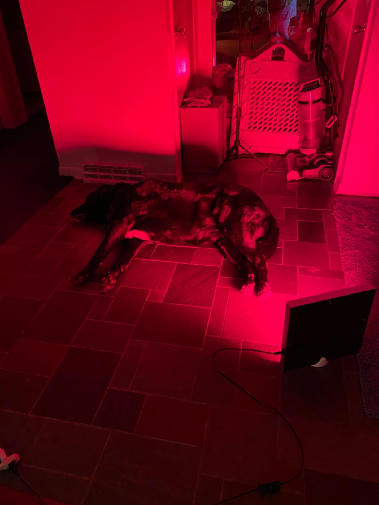 LED Red Light Therapy Device - 45W LED Panel Deep 660nm and Near-Infrared 850nm Light Combo for Skin Beauty, Pain Relief of Muscles and Joints customer photo 2