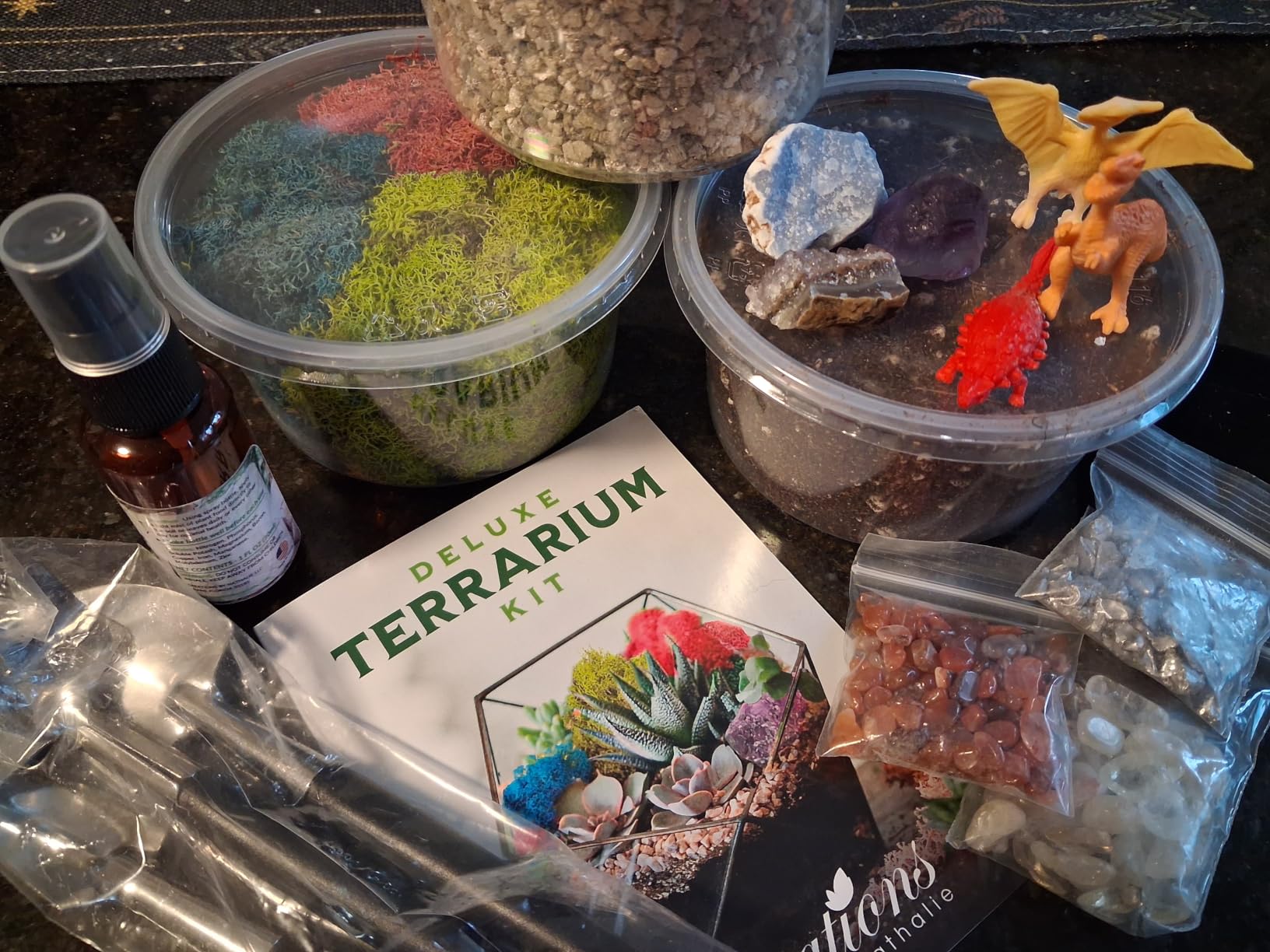 Creations by Nathalie DIY Terrarium Kit with Moss, Soil, Tools & Decor | DIY terrarium starter kit with moss, soil, pebbles, tools, crystals, and figurines for creating indoor plant displays. customer photo 1