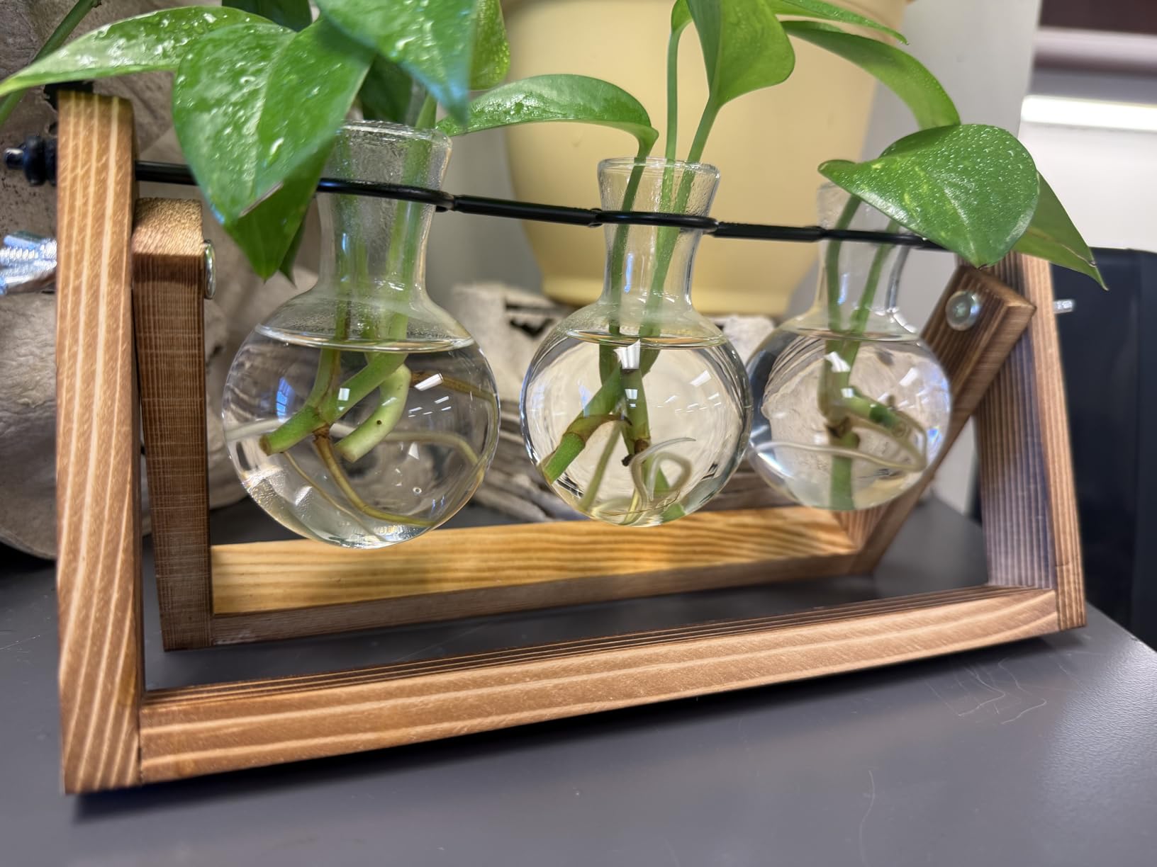 Renmxj Plant Propagation Stations with Wooden Stand & 5 Glass Bulb Vases | Plant Terrarium for Indoor Plants, Home Office Desk Decor, Gardening Gifts for Women Mom, Birthday Gifts for Plants Lovers customer photo 1