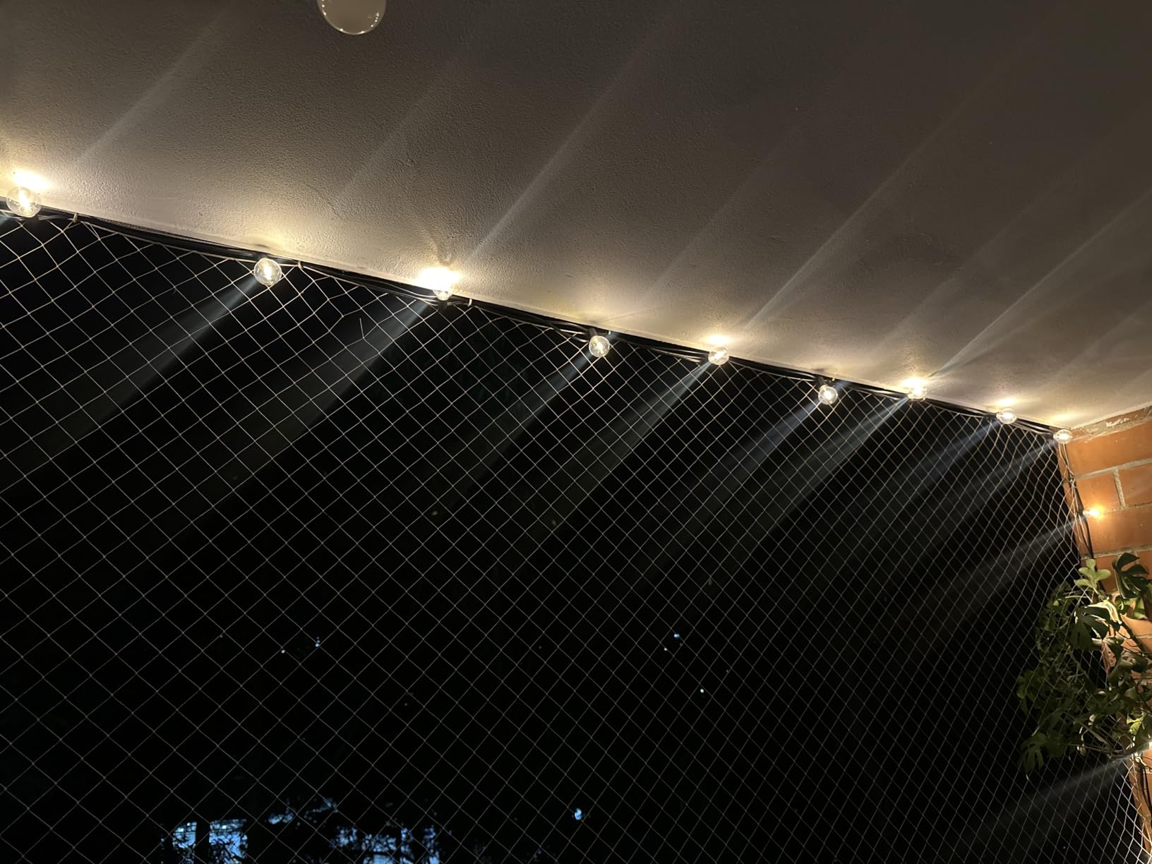 Outdoor String Lights, 55(50+5) FT 25 Bulbs IP65 Waterproof Patio Lights | Shatterproof Dimmable Hanging Connectable G40 Globe LED Outdoor Lights for Christmas, Backyard, Bistro, Porch customer photo 1