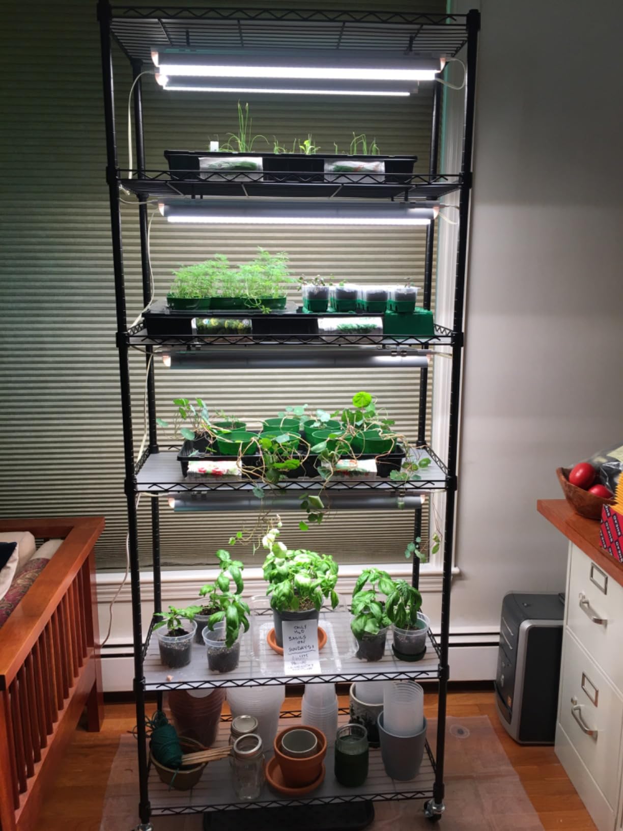 DIY Plant Shelf with Grow Light, Adjustable, 29.5x13.8x70.9in | DIY Grow Light Shelf, Indoor Plant Stand, 8-Pack Full Spectrum Plant Lights, 192W Total, Ideal for Seed Starting customer photo 1