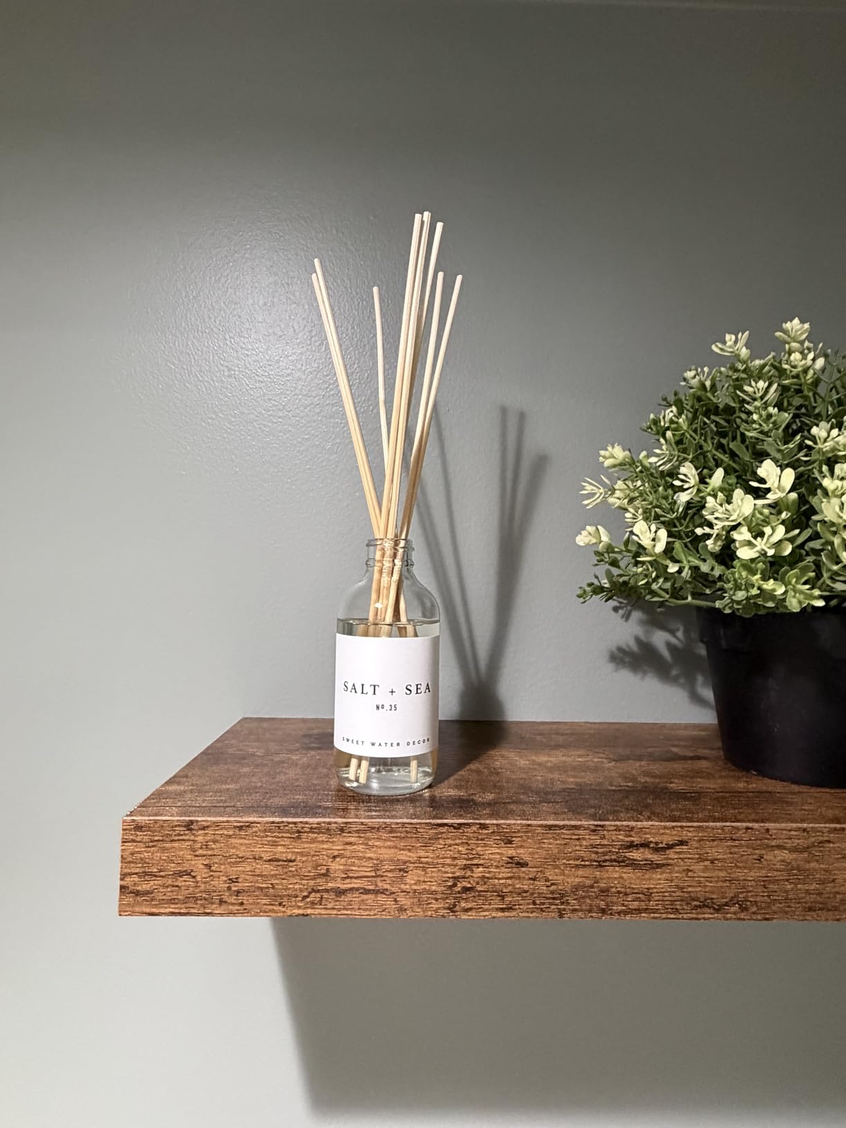 Sweet Water Decor Salt & Sea Reed Diffuser Set - Sea Salt Citrus & Musk Amber Scent Diffuser - Reed Diffusers for Home with Long Lasting Fragrance - Non-Toxic Oil Reed Diffuser - Made in the USA customer photo 1