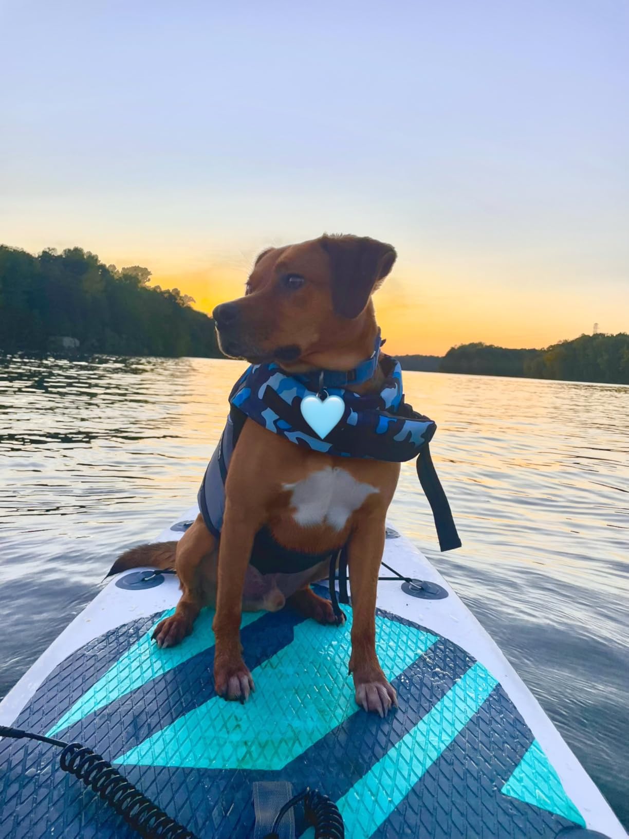 Aqua Plus 6inches Thick Inflatable SUP for All Skill Levels Stand Up Paddle Board, Paddle, Pump, ISUP Travel Backpack, Leash, Shoulder Strap, Youth, Adult Inflatable Paddle Board customer photo 1