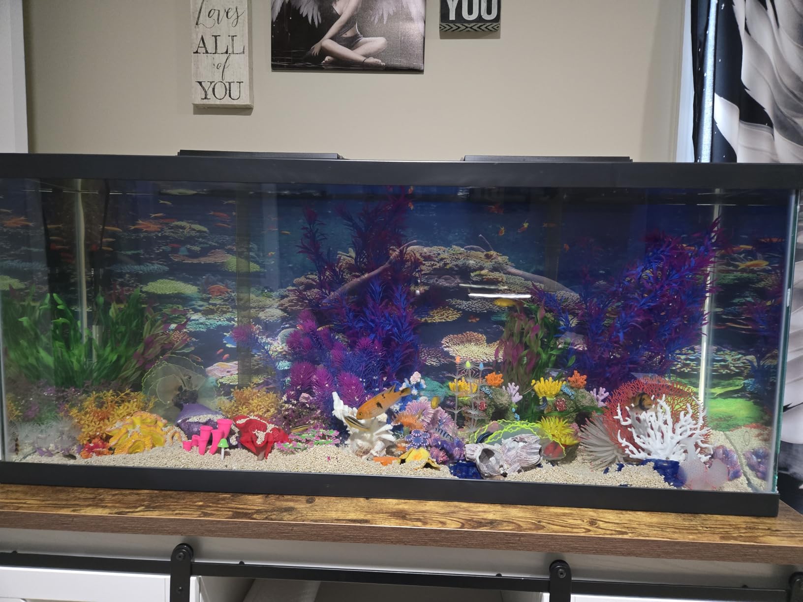 Tetra 29 Gallon Complete Tropical Fish Tank Kit customer photo 2