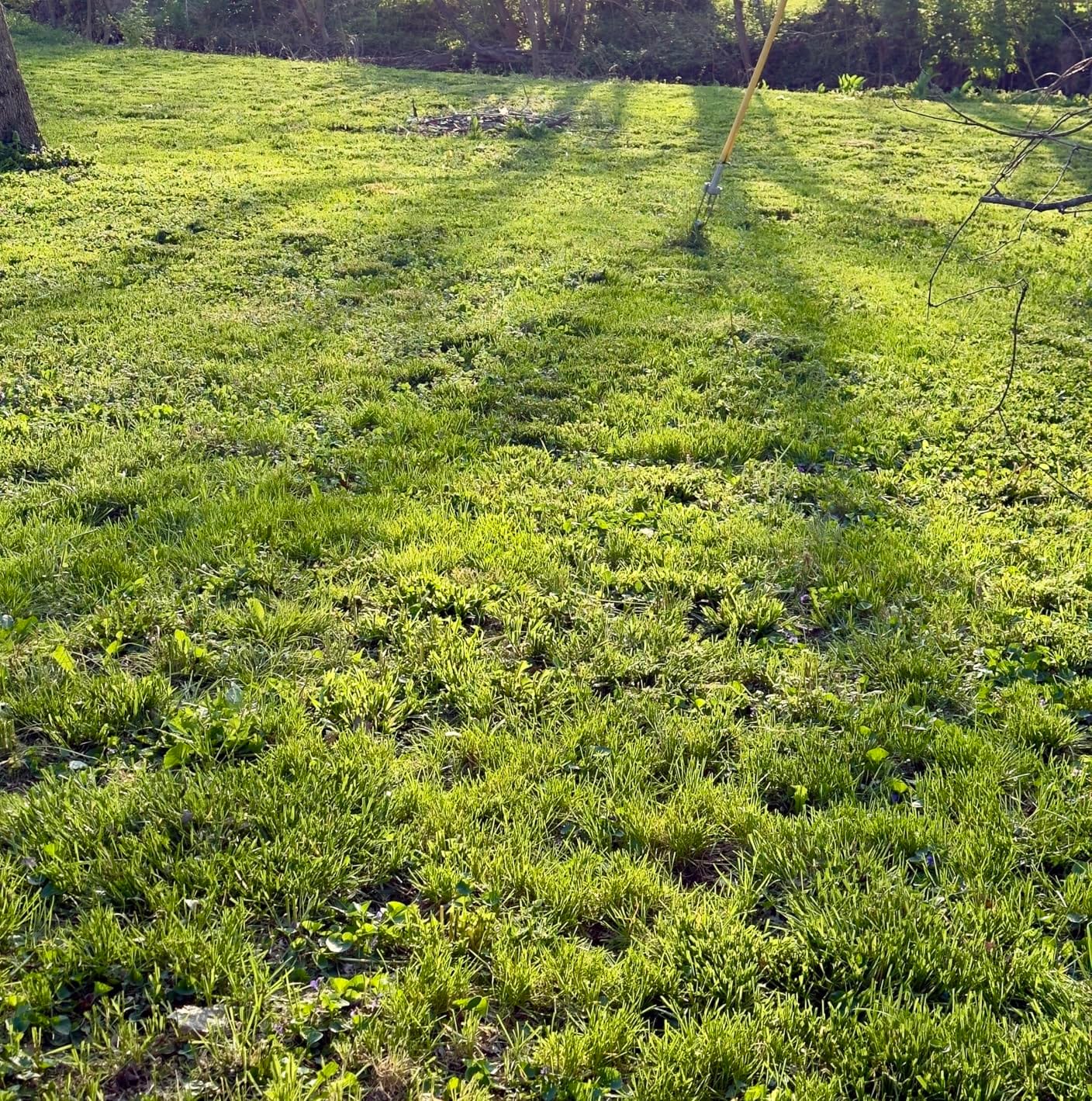 YARDMAX 22 in. 201cc Select PACE 6 Speed CVT High Wheel FWD 3-in-1 Gas Walk Behind Self Propelled Lawn Mower (YG2860) customer photo 2