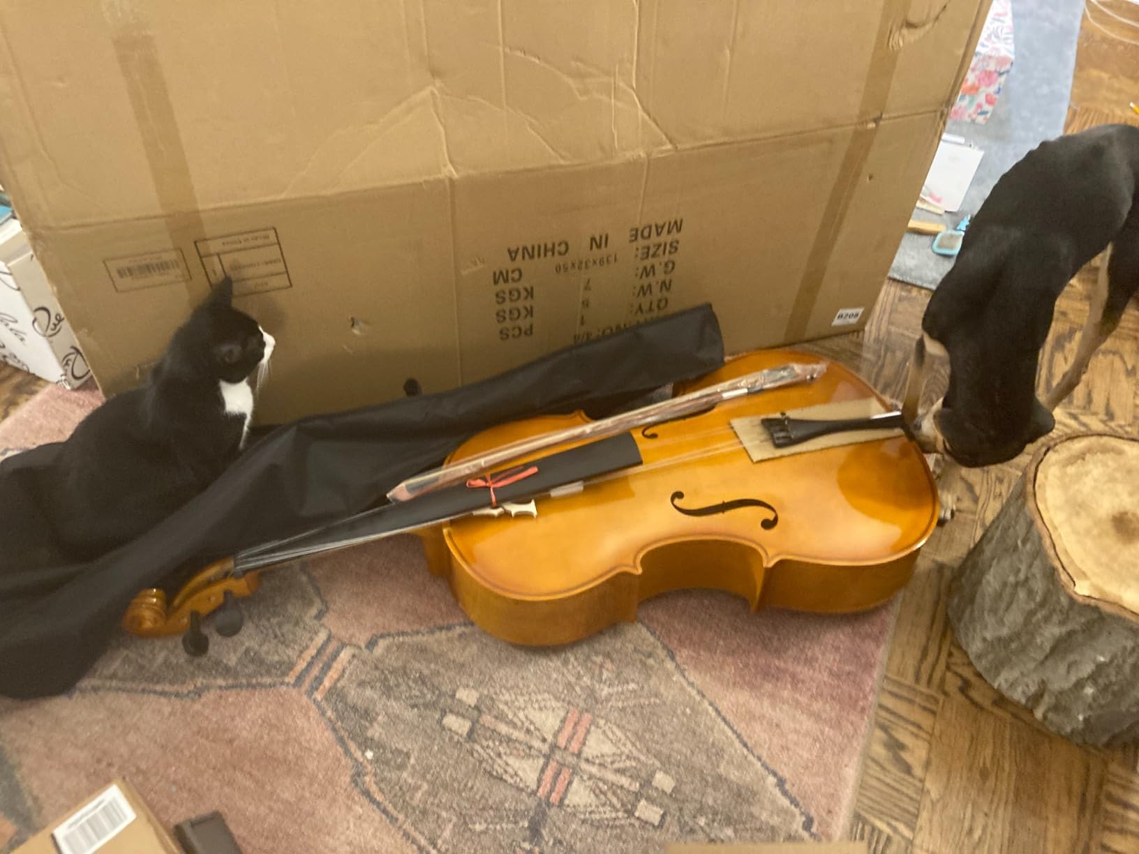 Ktaxon Full-Size Cello, Beginner Cello 4/4, Acoustic Cello Kit | Full Equipment with Portable Bag, Bow, Bridge and Rosin for Beginners | Adults & Kids String Musical (Black) customer photo 1