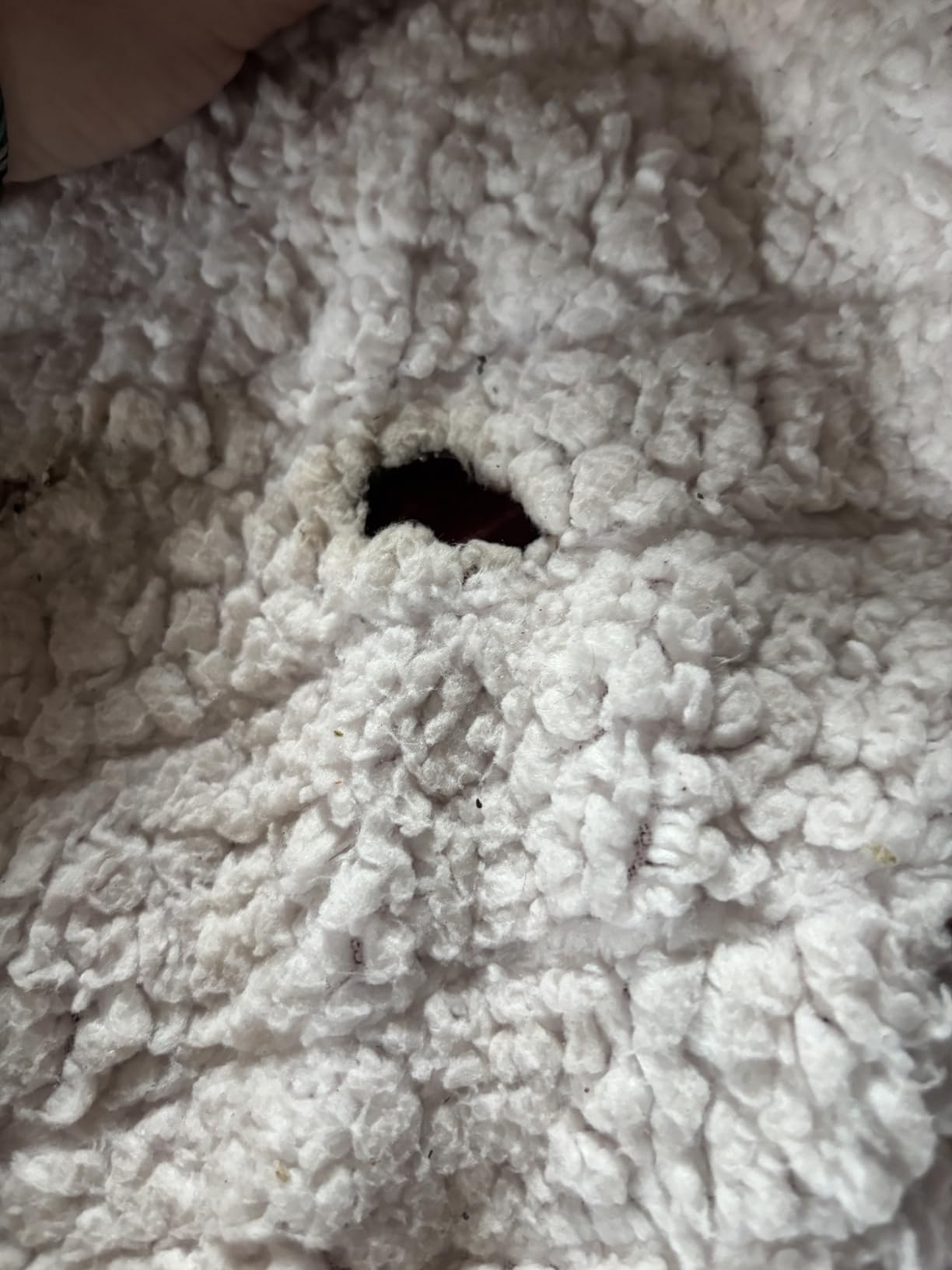 Homemate Heated Blanket Electric Throw - 50