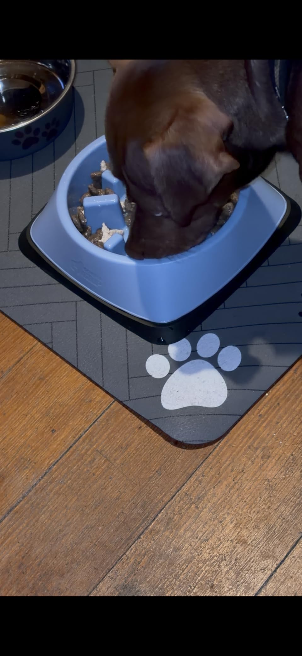 GORILLA GRIP Patented BPA Free Slow Feeder Dog Bowls, Interactive Puzzle Toy for Dogs and Cats Food Training Enrichment, Keeps Pets Busy and Prevents Puppy Overeating, Small Breeds, 1 Cup, Sage Green customer photo 2