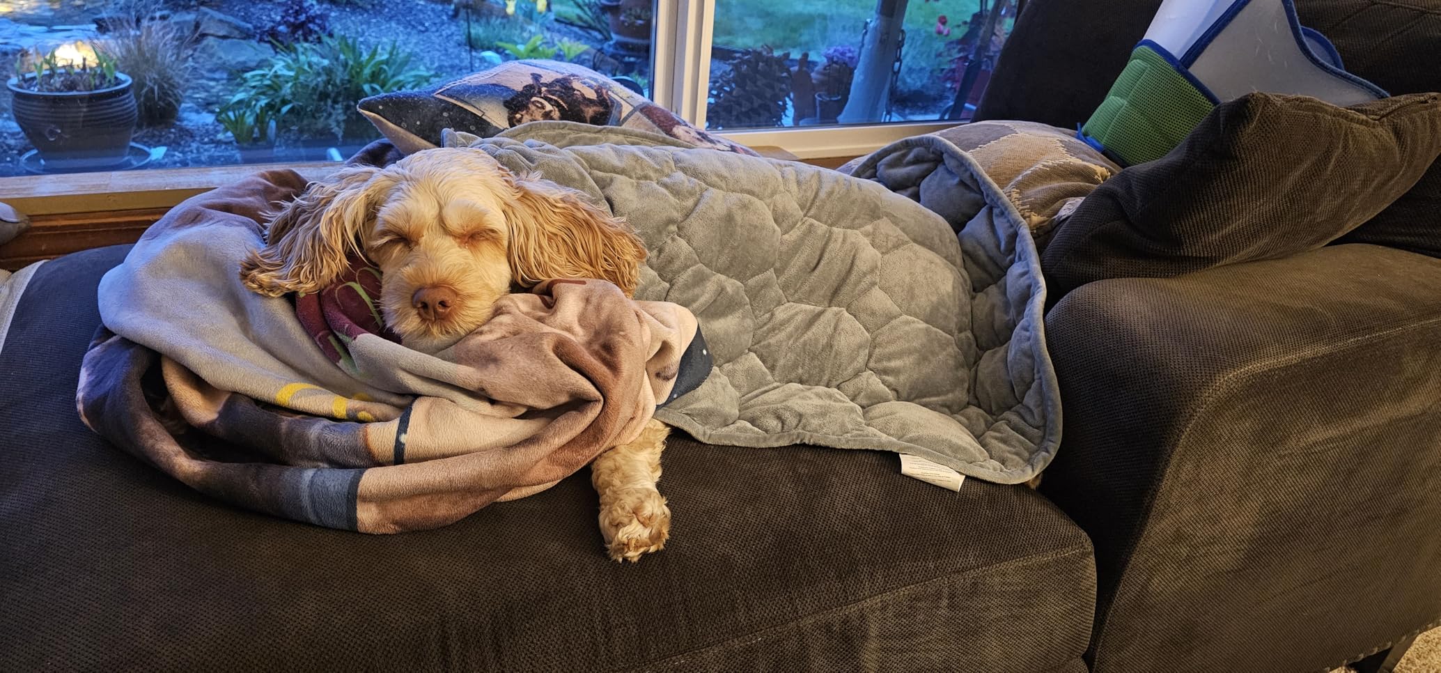 Weighted Lap Blanket, 7lbs Weighted Lap Pad for Adults, 24