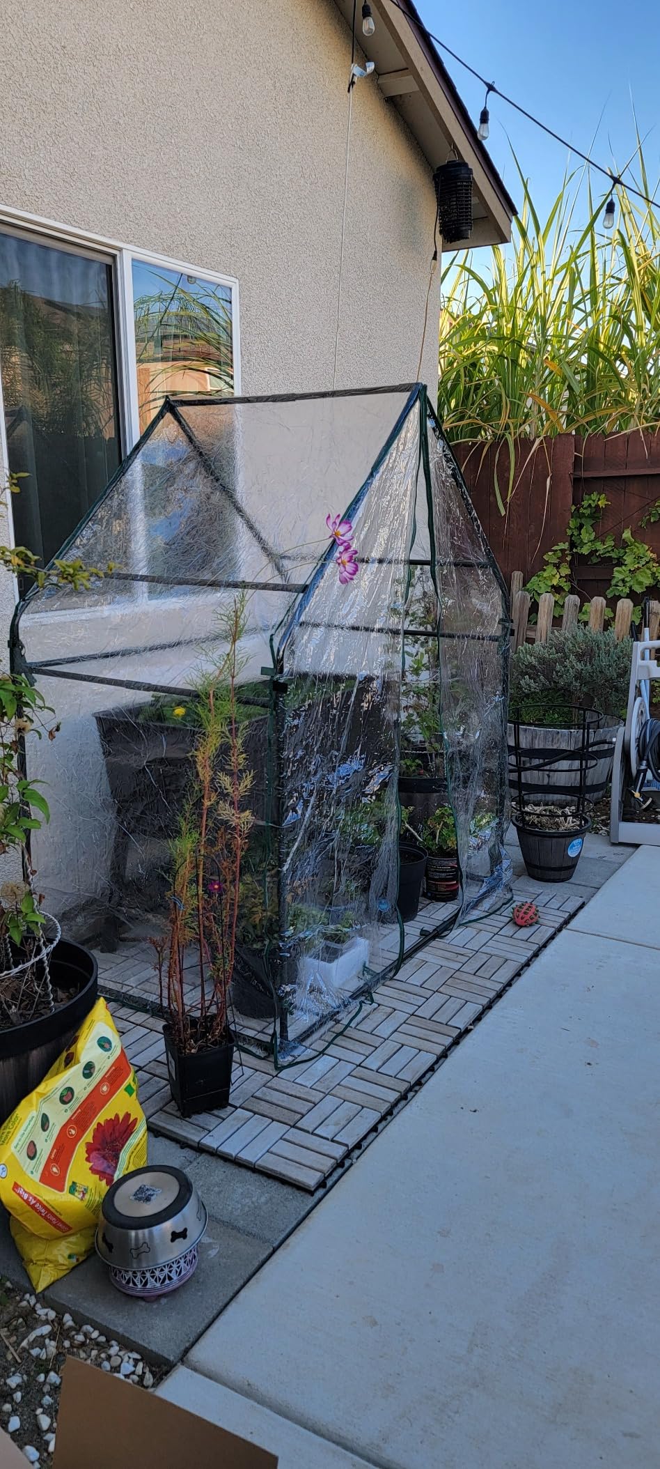 Gardzen Mini Greenhouse 36.2(L) x36.2(W) x42.5(H) | Heavy Duty Portable Green House, Zipper Clear Tent Small Greenhouse for Indoor Outdoor Plants customer photo 2