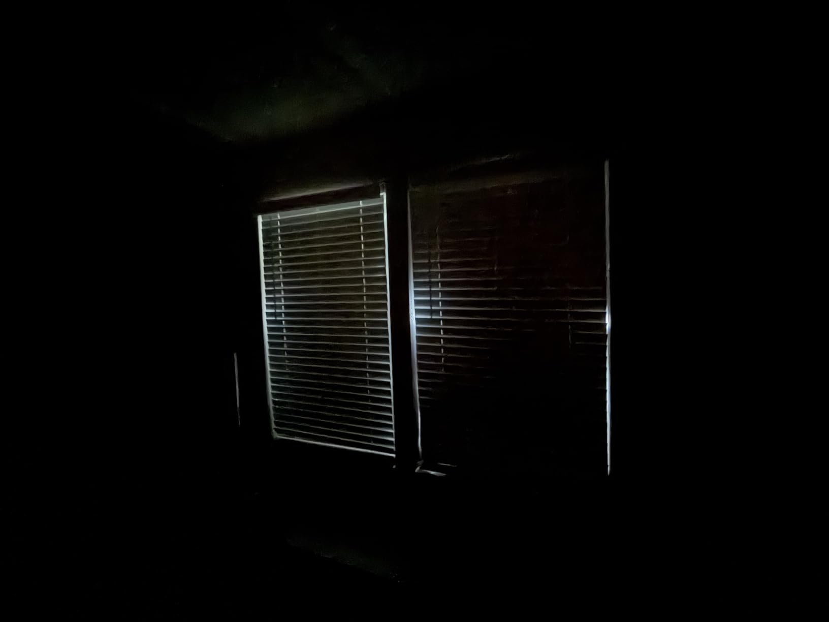 Petaholic 100% Blackout Curtains for Bedroom, Portable DIY Window Blinds, No Drill Window Shades & Blackout Blinds with Stickers & Tabs for Travel, Dorm Room, Media Room (118