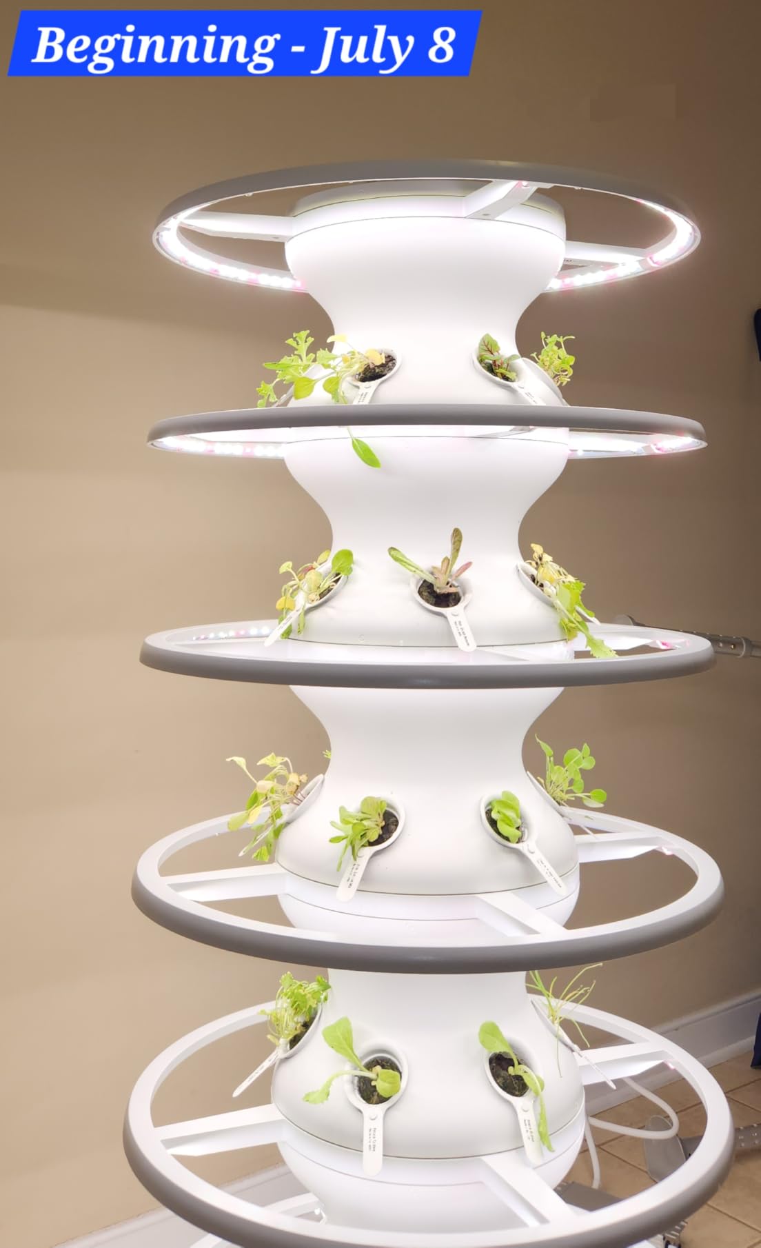 Farmstand Starter Kit with Glow Rings and 12 Seedling Credits | Tiny Hydroponic Growing System Kit | Vertical Garden Planter Tower | 3ft 8in Tall customer photo 2