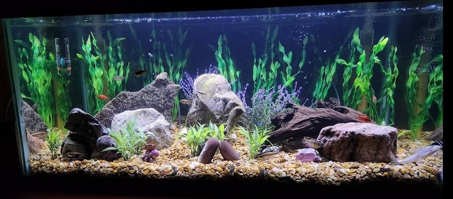HiTauing Aquarium Heater, 300W Fish Tank Heater with LED Digital Display & 5 Safety Protection customer photo 2