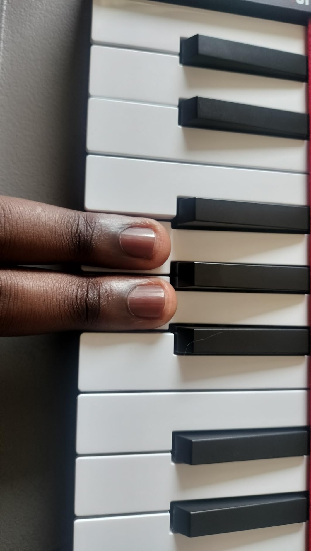 Akai Professional LPK25 25-Key USB MIDI Keyboard Controller | Velocity-Sensitive Mini Keys, Arpeggiator, Universal DAW Compatiblity, for Music Producers customer photo 1