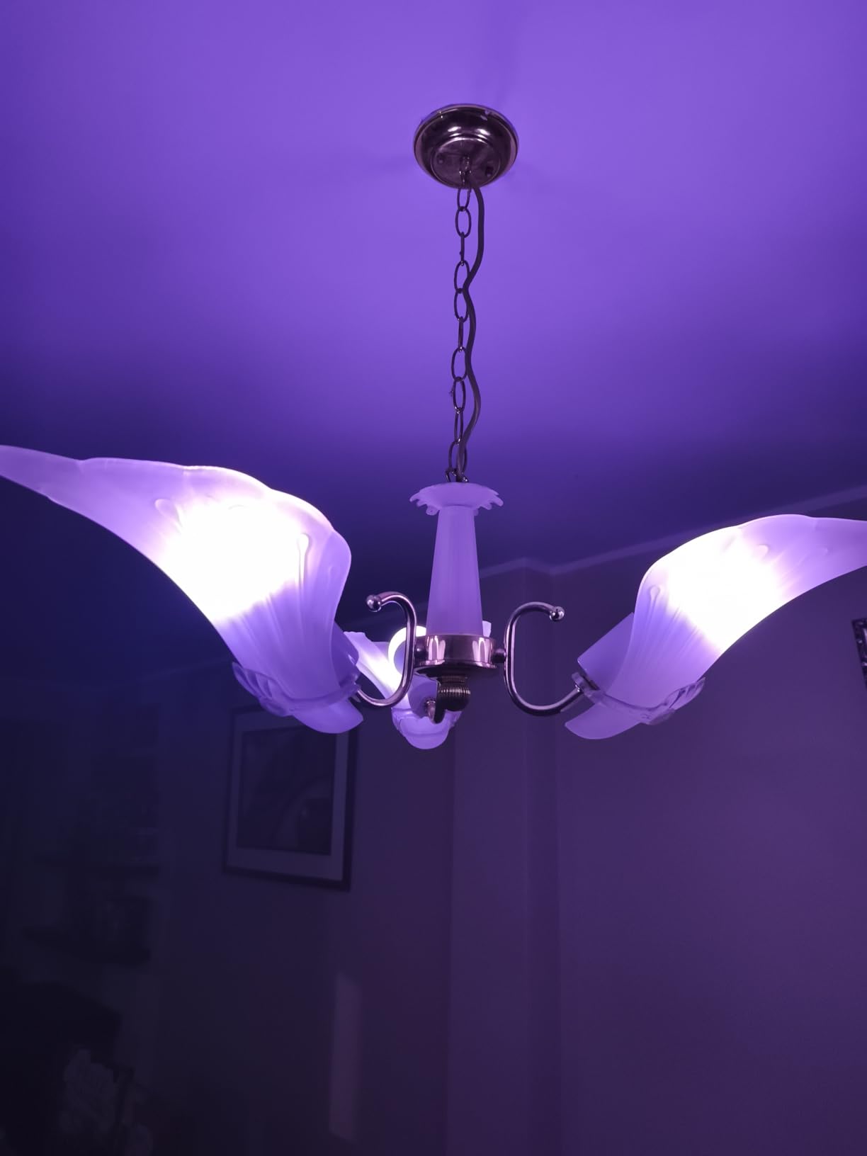 Linkind Matter Smart Light Bulbs, Work with Apple Home, Alexa, Siri, Google | Matter-enabled Direct Connect, LED Color Changing Light Bulbs, Mood Lighting, Music Sync, A19 E26 60W 800LM 2.4G WiFi, 6 Pack customer photo 1