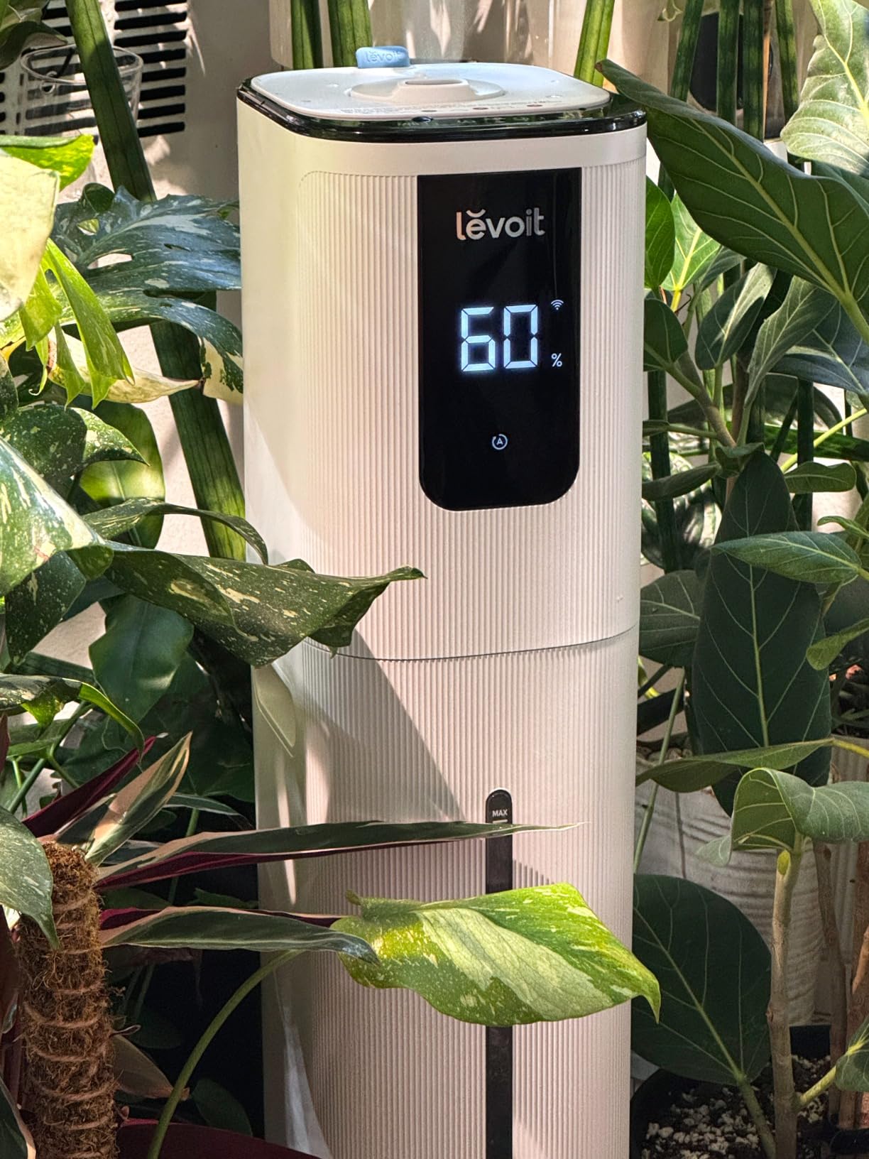 LEVOIT OasisMist 1000S (10L) Smart Humidifier for Home Large Room Bedroom, Last 100 Hours, Cover up to 600ft², Easy Top Fill, Remote & Voice Control, Auto Mode, Quiet customer photo 1