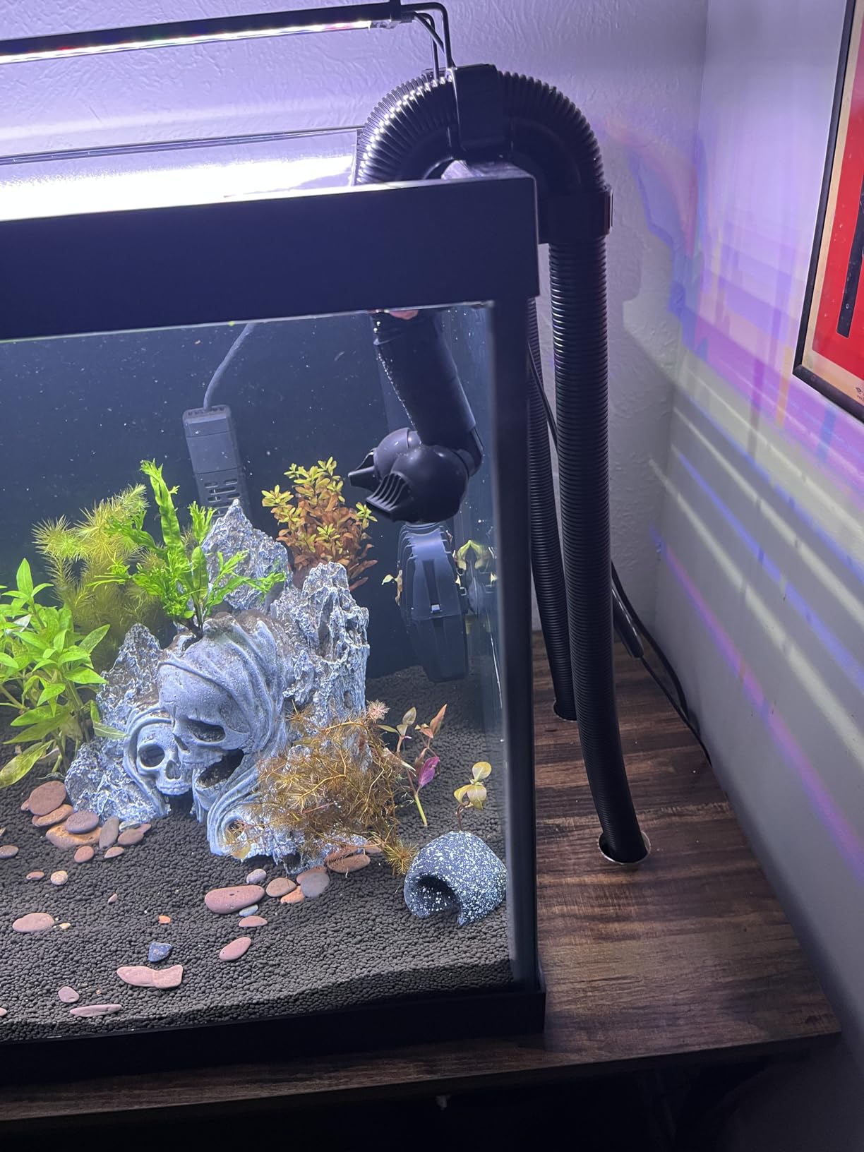 Fluval FX2 High Performance Canister Aquarium Filter | Multi-Stage Filtration, Built-in Powered Water Change System customer photo 1