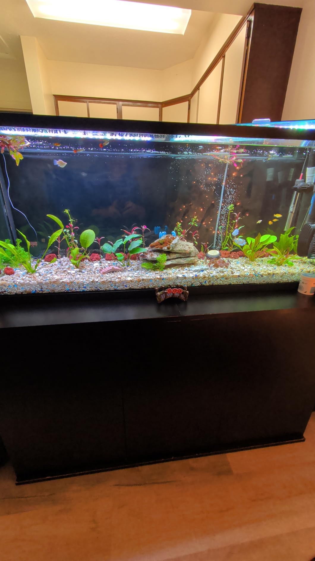 Fluval FX2 High Performance Canister Aquarium Filter | Multi-Stage Filtration, Built-in Powered Water Change System customer photo 2